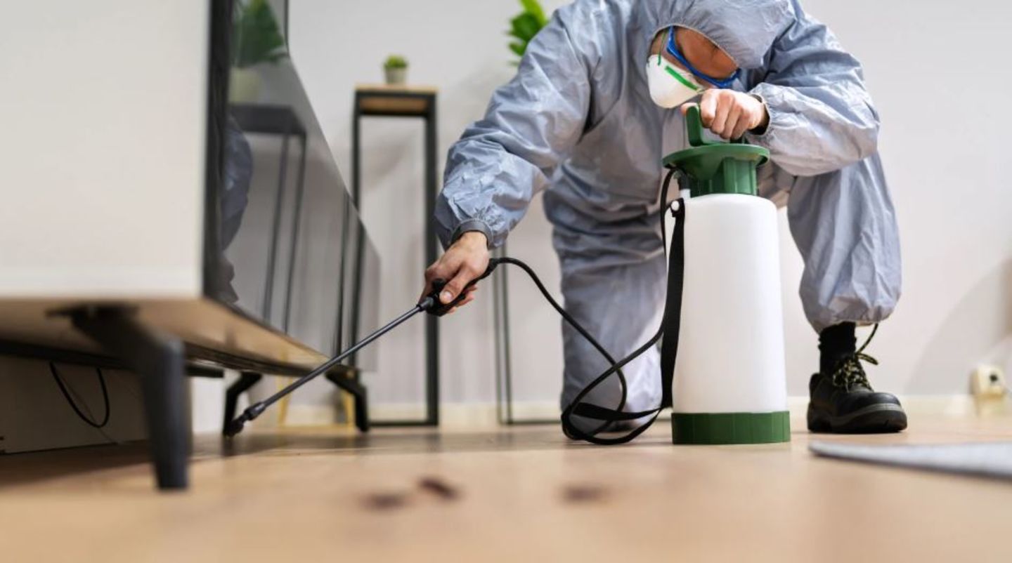 HiDubai-business-369-pest-control-disinfection-services-home-pest-control-disinfection-services-al-qusais-industrial-1-dubai