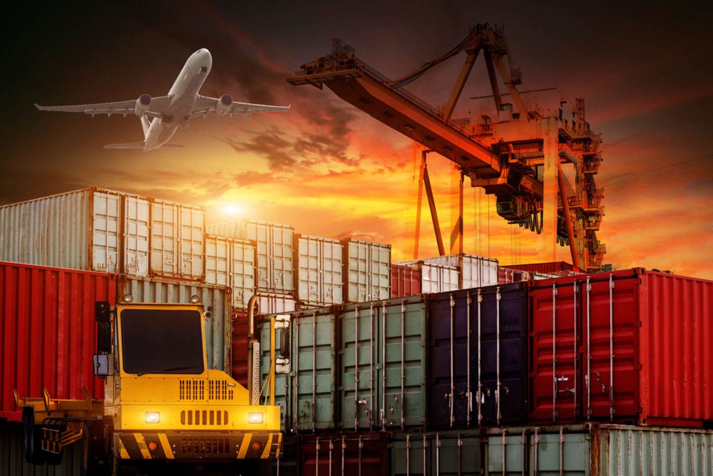 HiDubai-business-sea-palace-freight-services-shipping-logistics-sea-cargo-services-dubai-cargo-village-dubai-international-airport-dubai-2