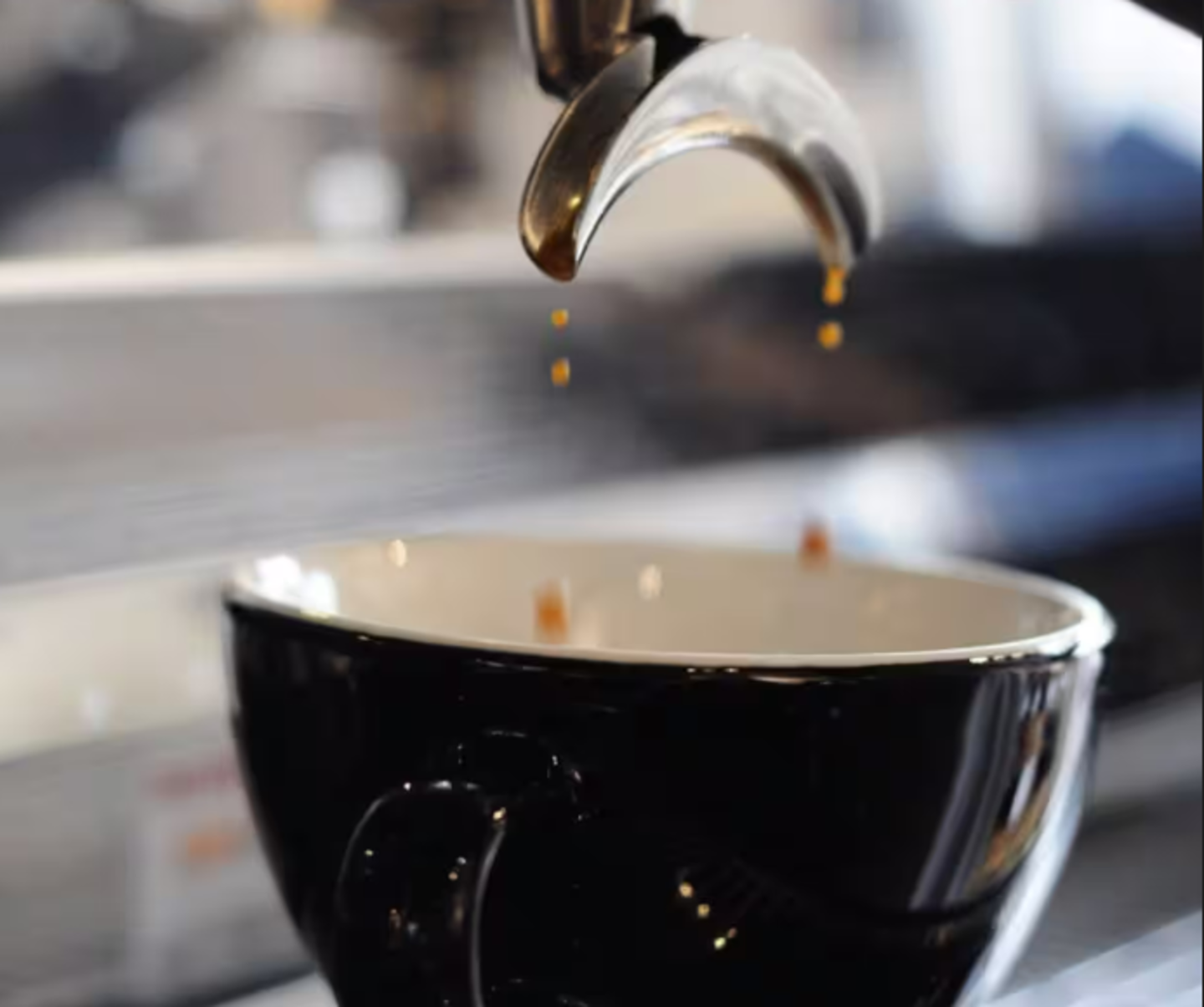 HiDubai-business-zahret-elbon-elbrazily-cafe-food-beverage-coffee-shops-hor-al-anz-east-dubai