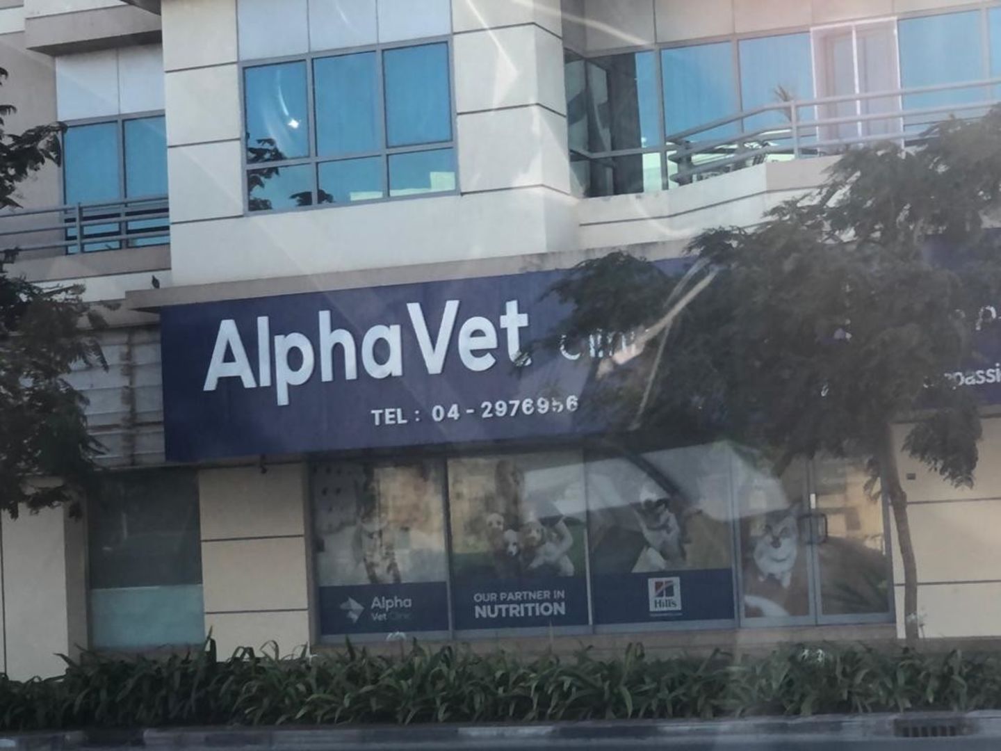 Alpha Vet Clinic(Pet Clinics & Vets) in Jumeirah 1, Dubai - HiDubai