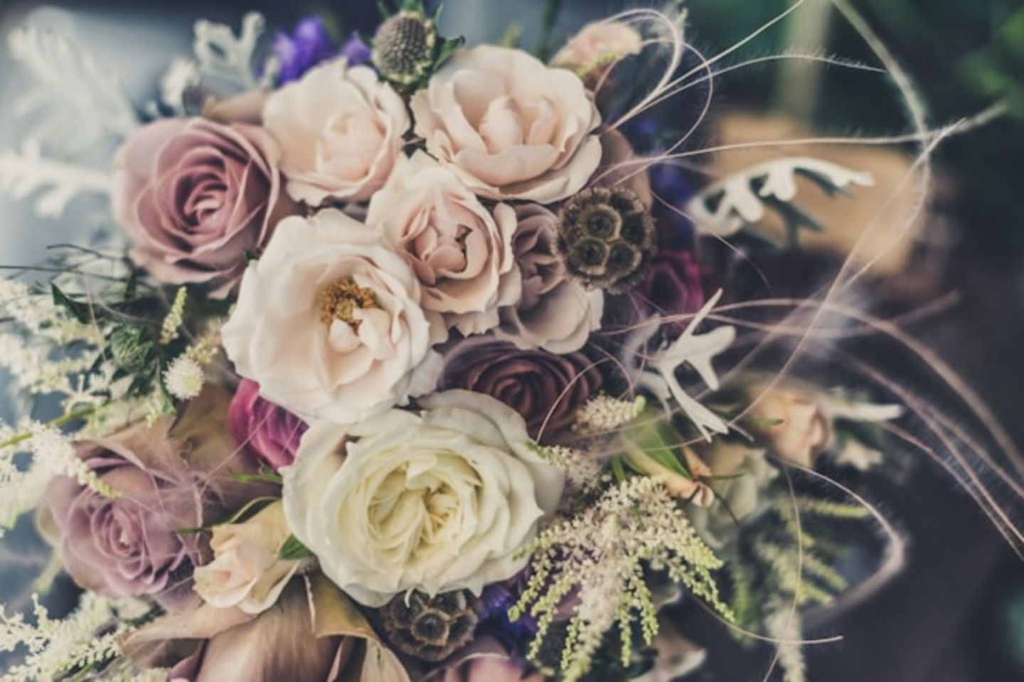 HiDubai-business-lilette-chocolate-flowers-animals-pets-plants-plants-gardening-stores-al-yalayis-2-dubai