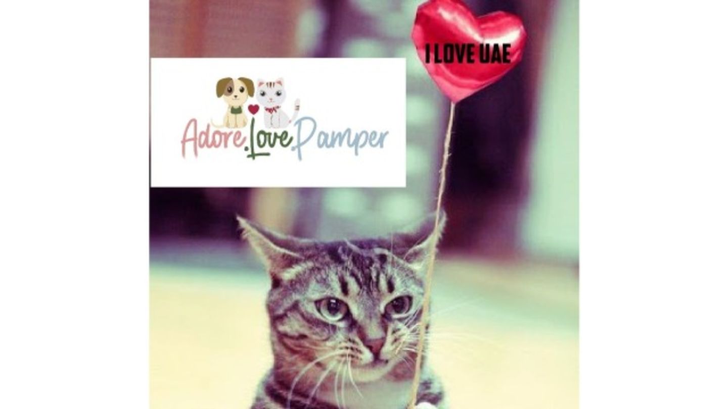 HiDubai-business-adore-love-pamper-pets-boarding-and-grooming-animals-pets-plants-pet-hotels-day-care-al-qusais-industrial-5-dubai