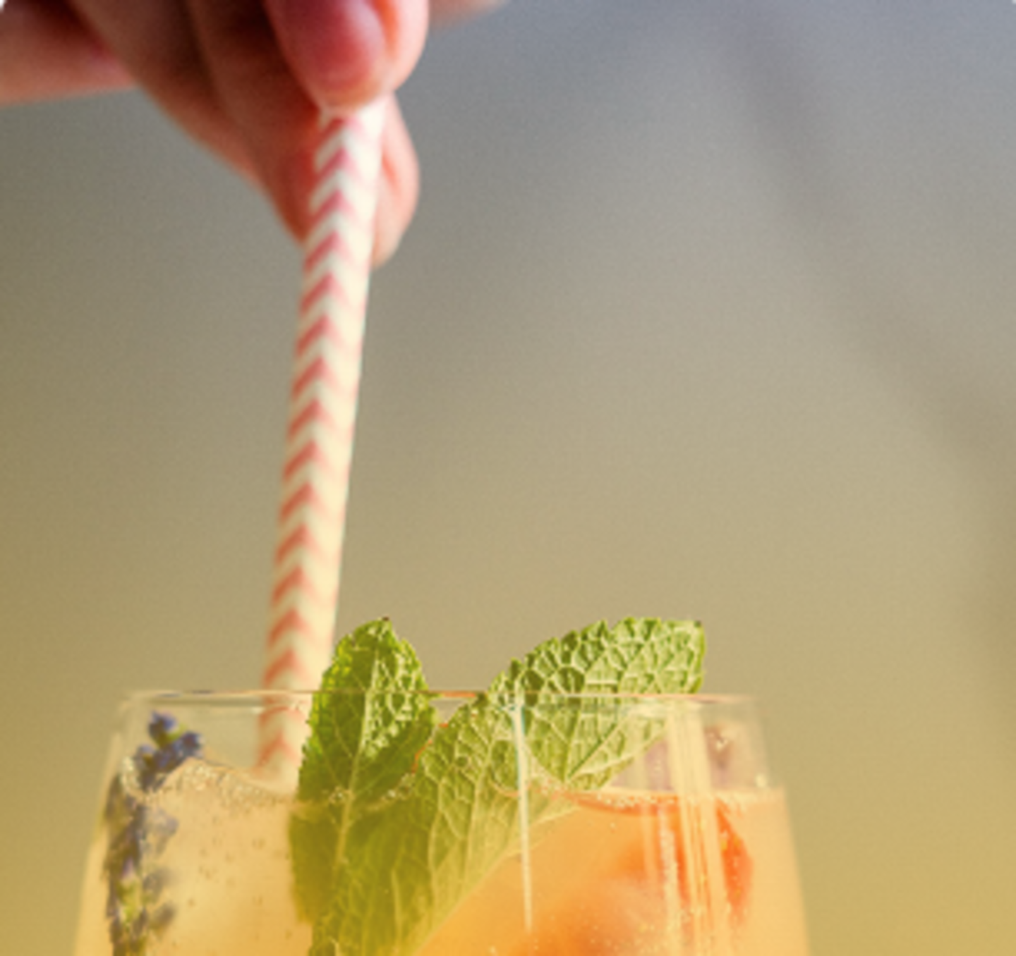 HiDubai-business-montone-trading-b2b-services-food-stuff-trading-al-quoz-industrial-2-dubai