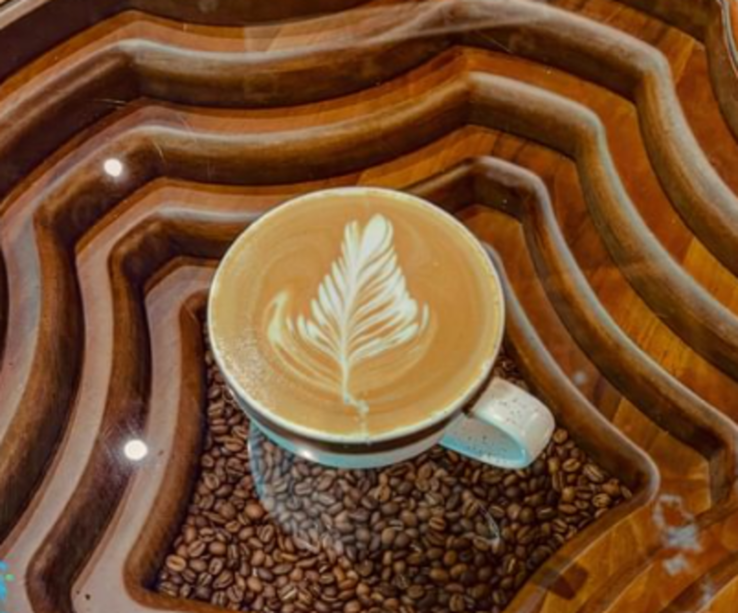 HiDubai-business-thooq-graffiti-food-beverage-cafeterias-global-village-wadi-al-safa-4-dubai