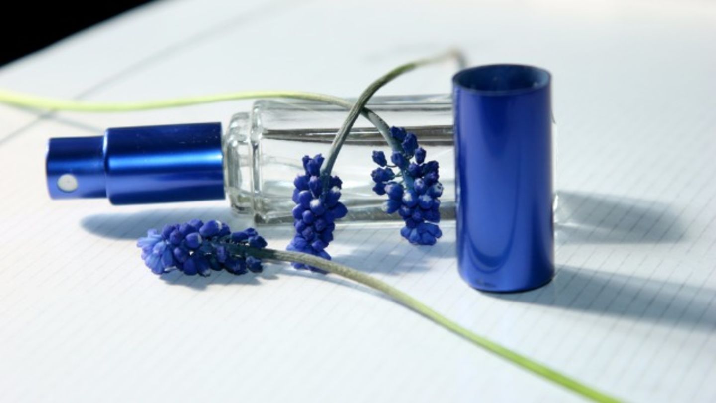 HiDubai-business-al-thara-general-trading-b2b-services-distributors-wholesalers-al-rigga-dubai-2