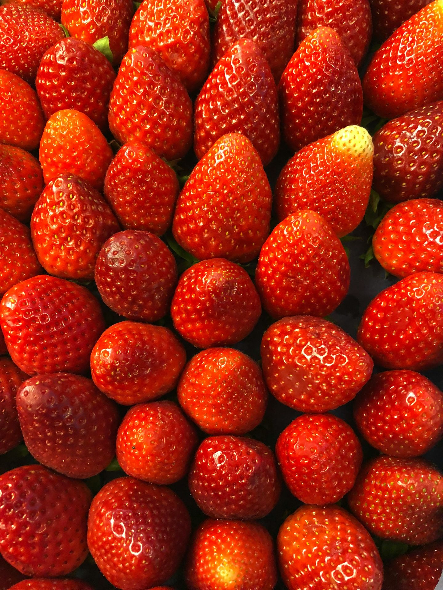 HiDubai-business-elite-farms-vegetables-fruits-vegetables-b2b-services-food-stuff-trading-ras-al-khor-industrial-2-dubai