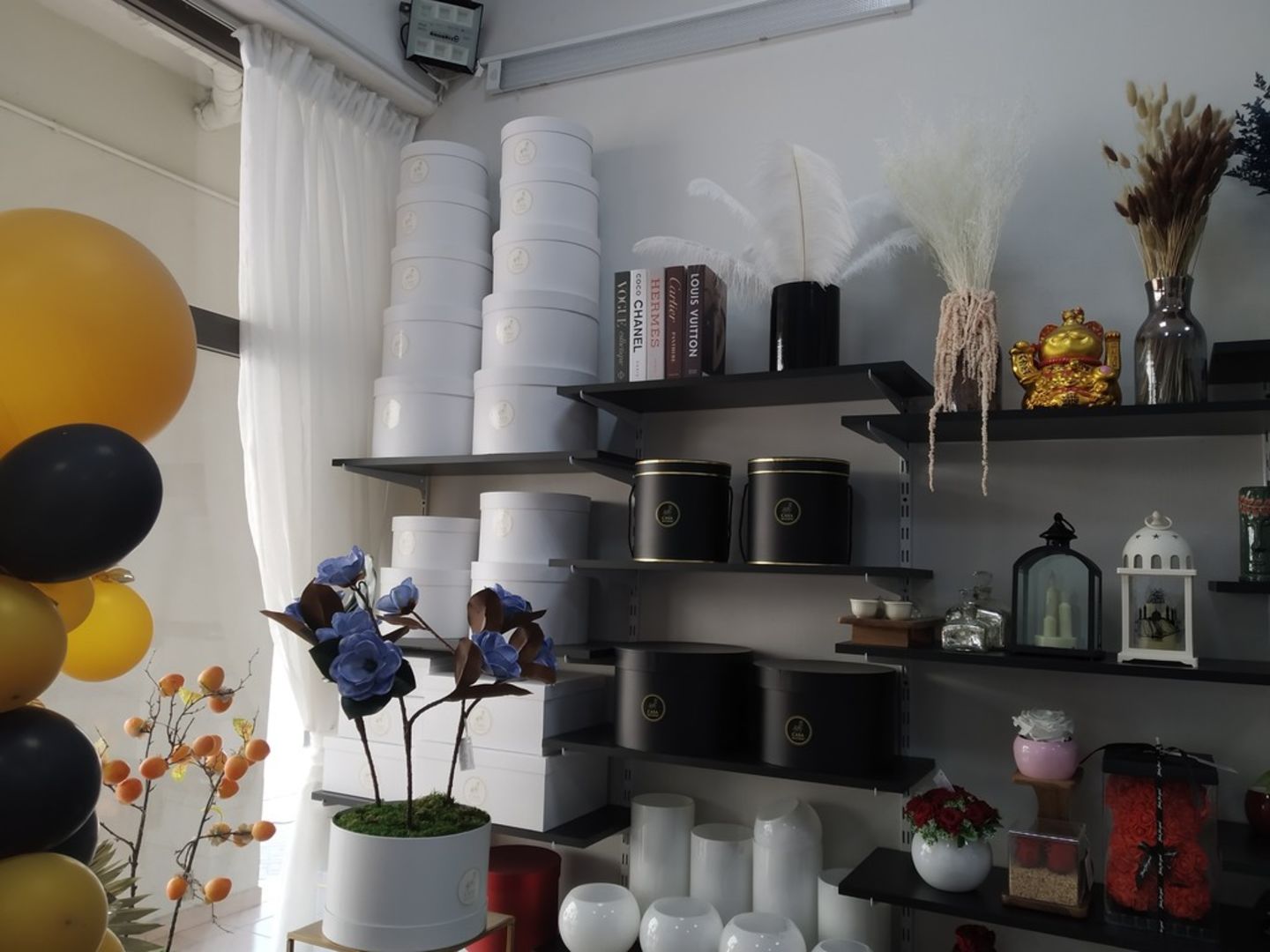 HiDubai-business-casa-de-flowers-animals-pets-plants-plants-gardening-stores-international-city-warsan-1-dubai