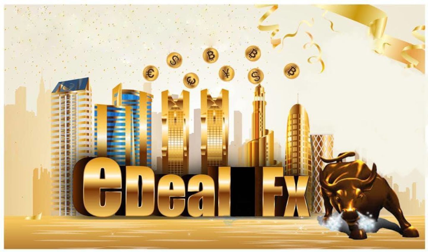 HiDubai-business-f-x-e-deal-commercial-brokeres-finance-legal-financial-services-hor-al-anz-east-dubai
