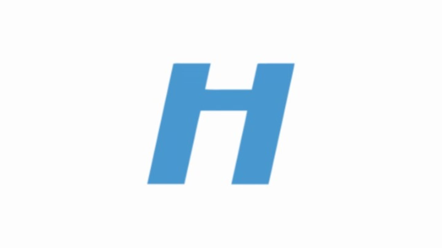 HiDubai-business-halton-middle-east-general-trading-b2b-services-distributors-wholesalers-jebel-ali-free-zone-mena-jebel-ali-dubai