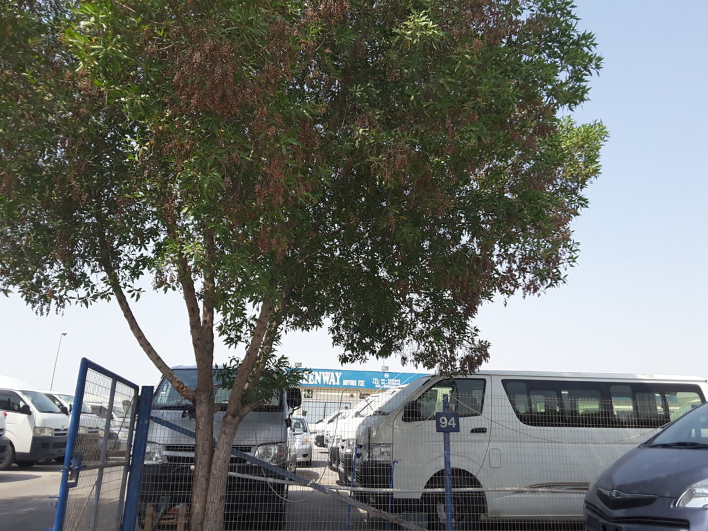 Greenway Motors(Car Showrooms & Service Centres) in Ras Al Khor