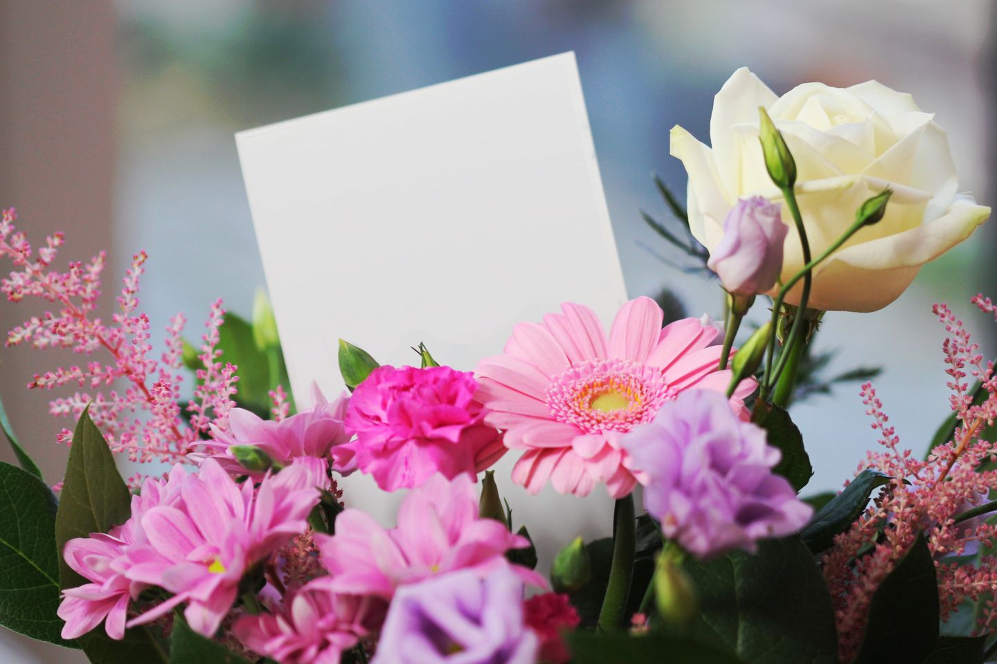 HiDubai-business-july-flowers-trading-home-gardening-landscaping-abu-hail-dubai-2