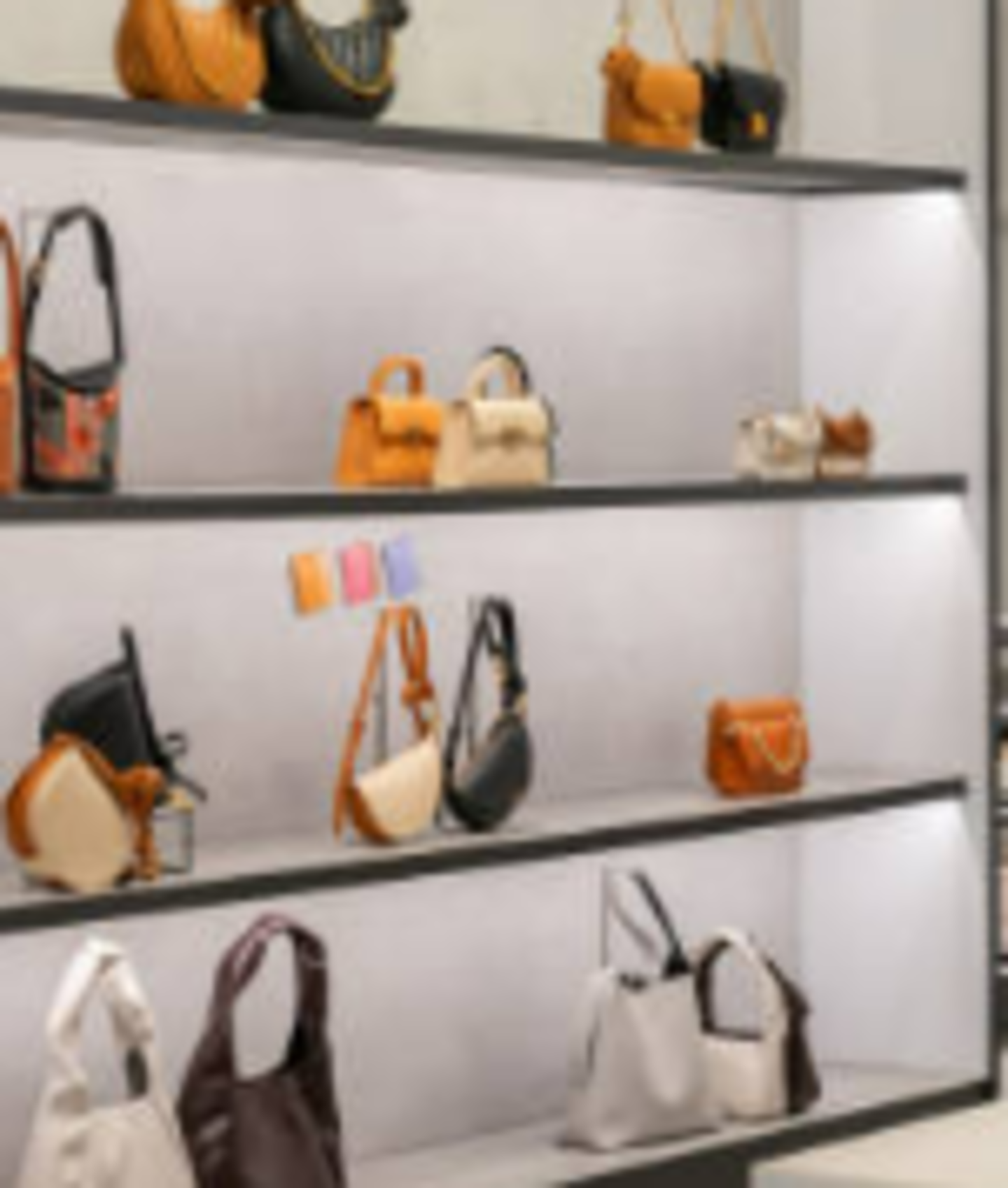 HiDubai-business-dar-alhadi-gifts-trading-shopping-luggage-travel-accessories-ayal-nasir-dubai