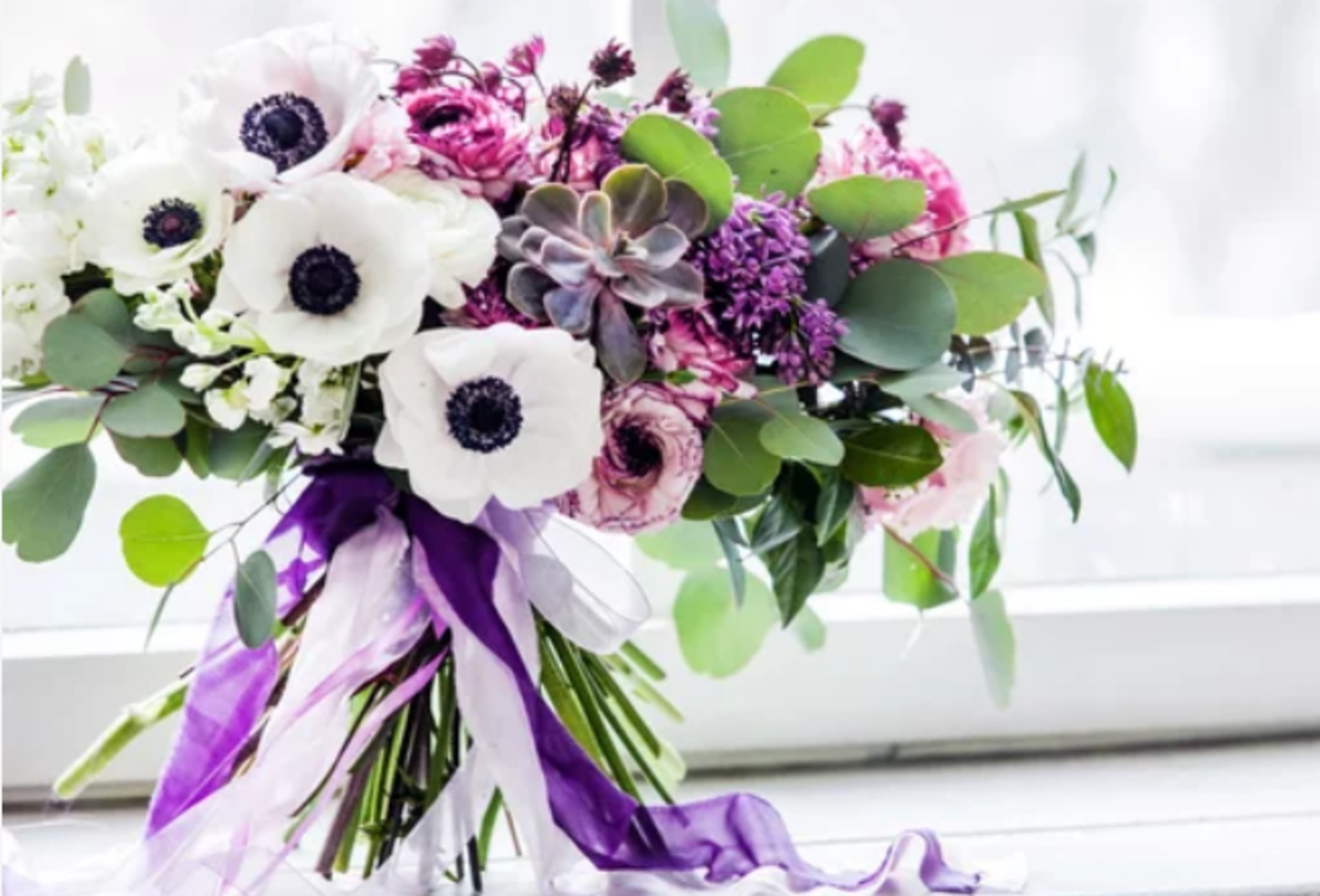 HiDubai-business-flowers-world-est-animals-pets-plants-plants-gardening-stores-al-karama-dubai