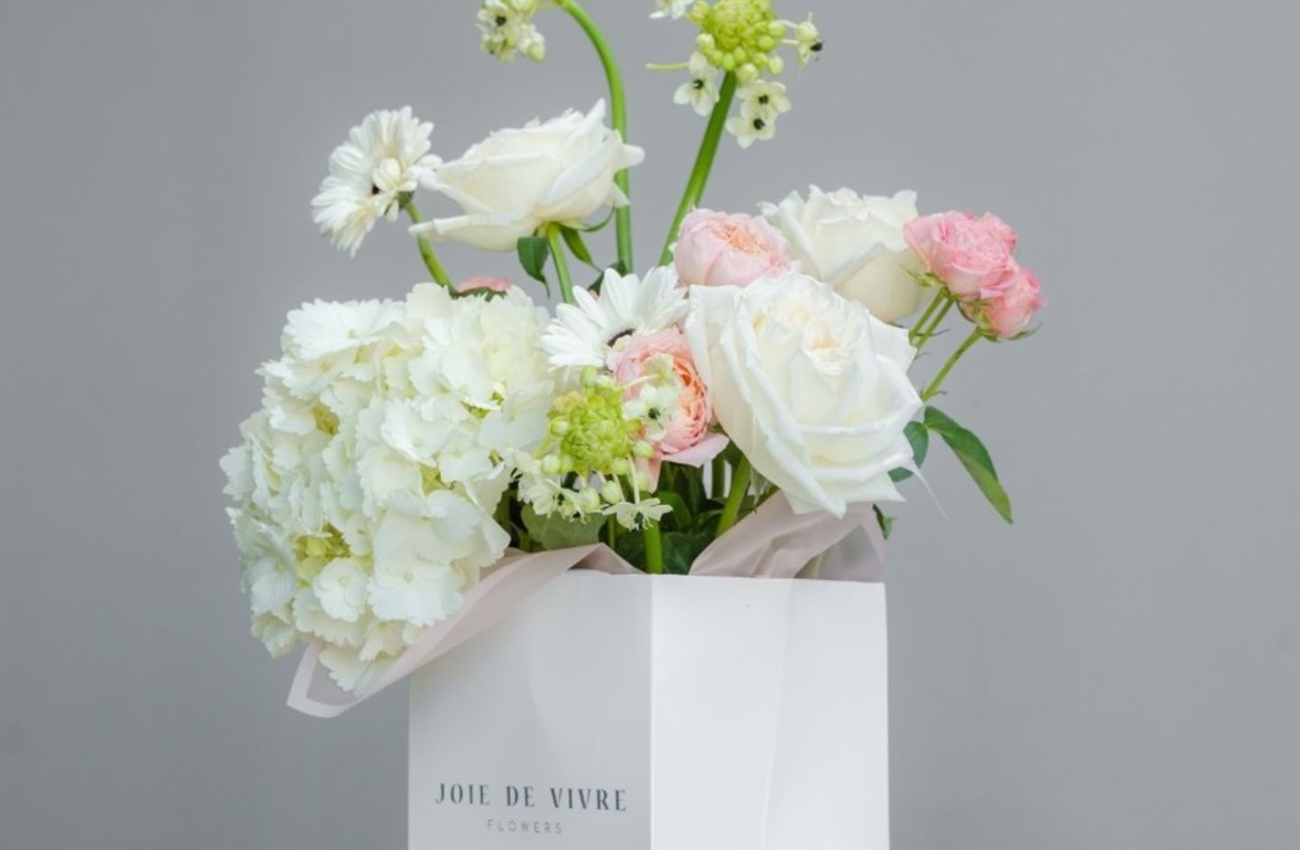 HiDubai-business-joie-de-vivre-flowers-animals-pets-plants-plants-gardening-stores-jumeirah-3-dubai