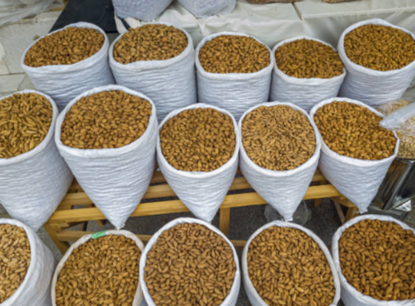 HiDubai-business-lucky-gbr-general-trading-b2b-services-distributors-wholesalers-dubai-investment-park-1-dubai