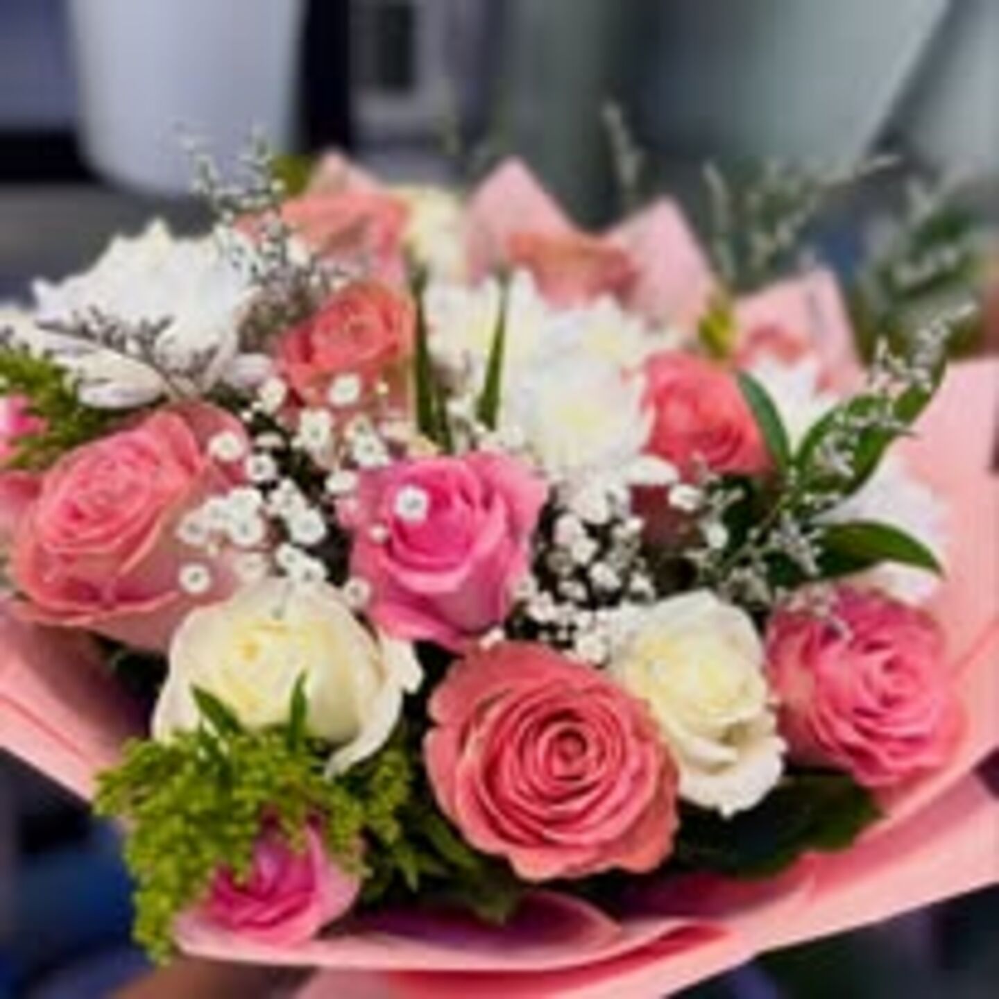 HiDubai-business-lucky-flowers-animals-pets-plants-plants-gardening-stores-al-karama-dubai