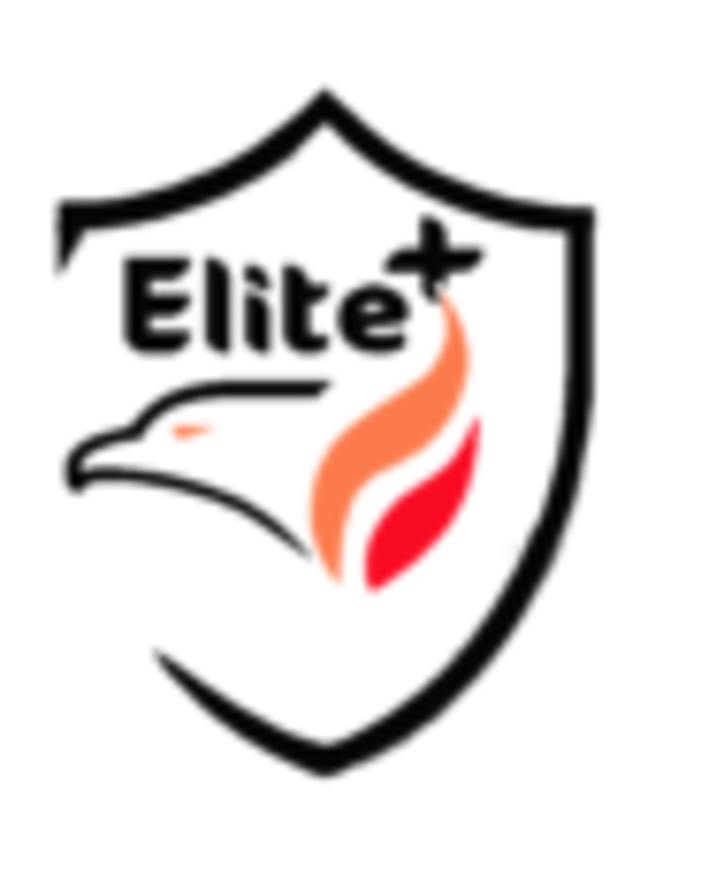 HiDubai-business-elite-plus-fire-fighting-safety-equipment-installation-b2b-services-distributors-wholesalers-al-nahda-1-dubai-2