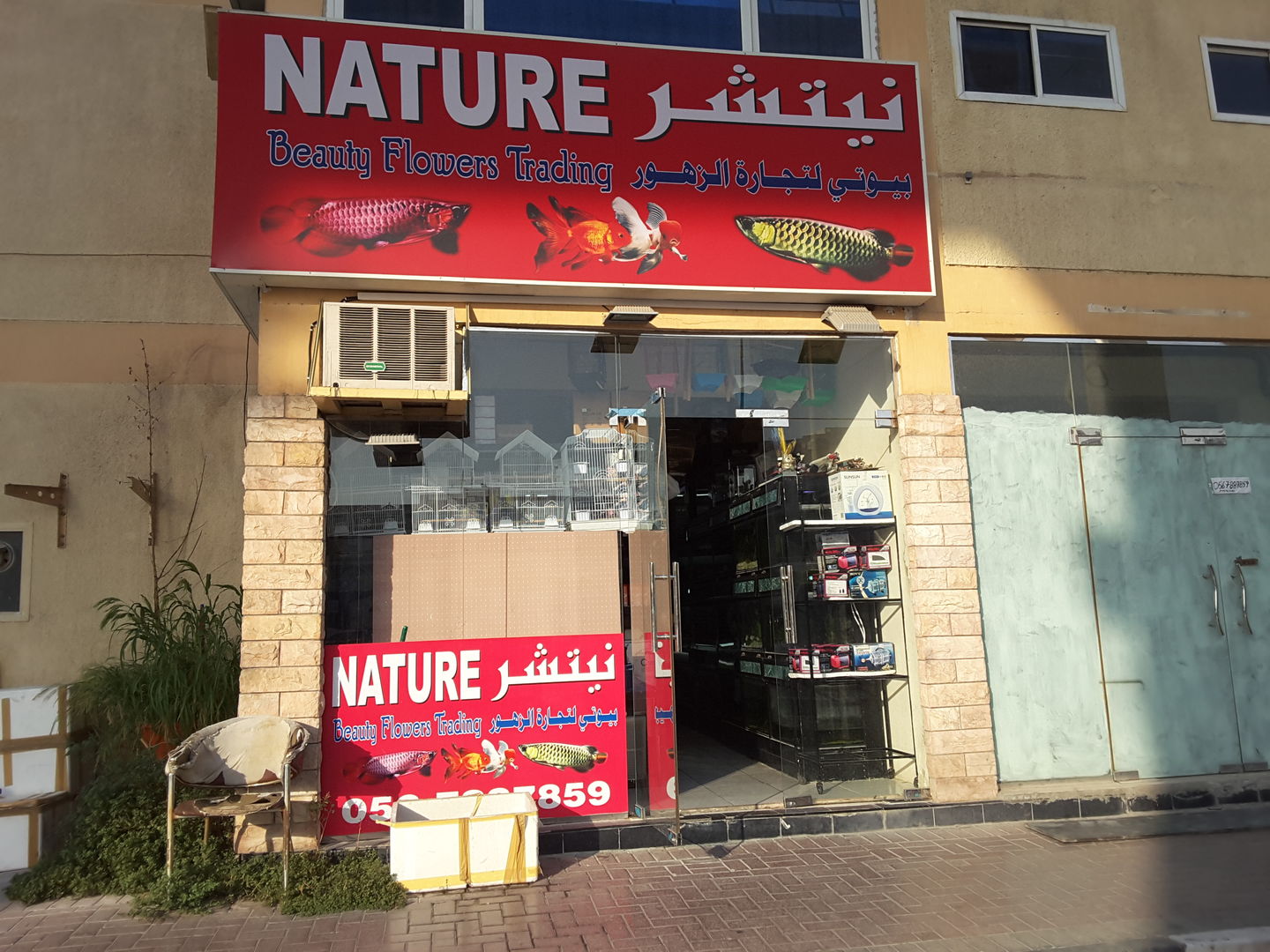 HiDubai-business-the-nature-beauty-flowers-shopping-garden-outdoor-al-qusais-1-dubai-2