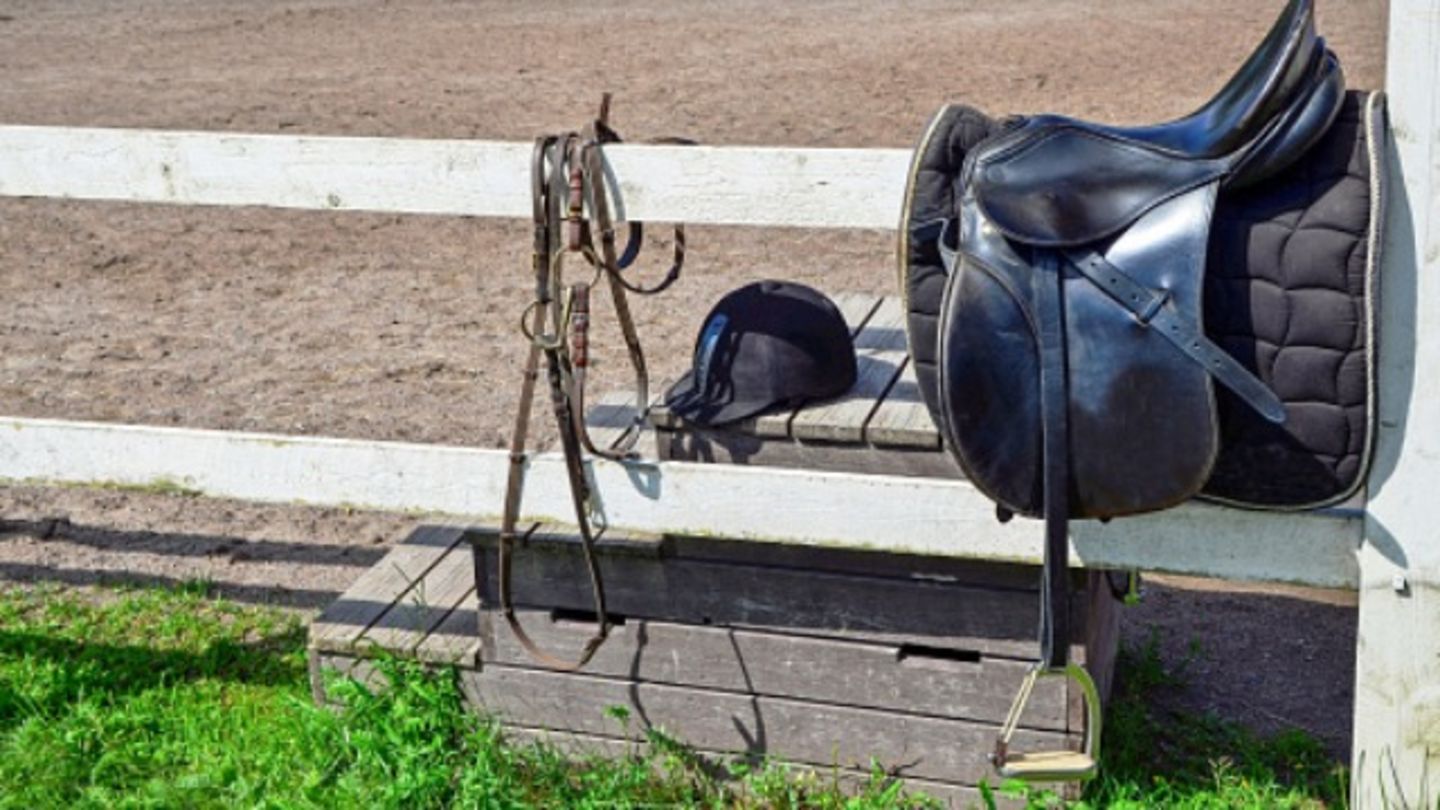 HiDubai-business-horses-station-equestrian-equipment-requisites-trading-b2b-services-distributors-wholesalers-al-quoz-industrial-4-dubai