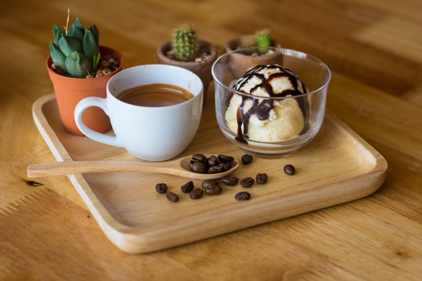 HiDubai-business-filli-cafe-food-beverage-coffee-shops-al-barsha-1-dubai-2