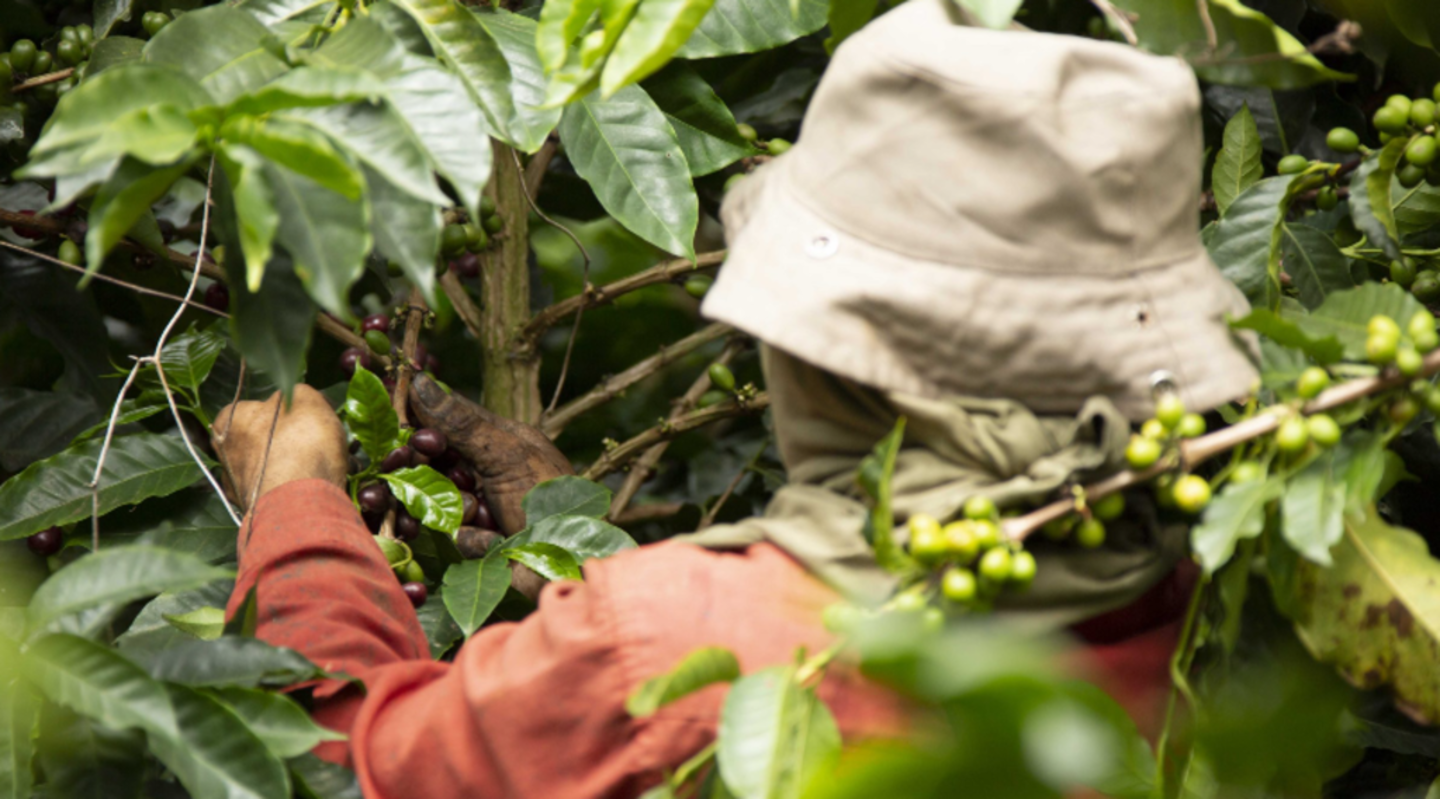 View of 20 Urban Industrial Luxury Bedroom Concepts - homespir.com