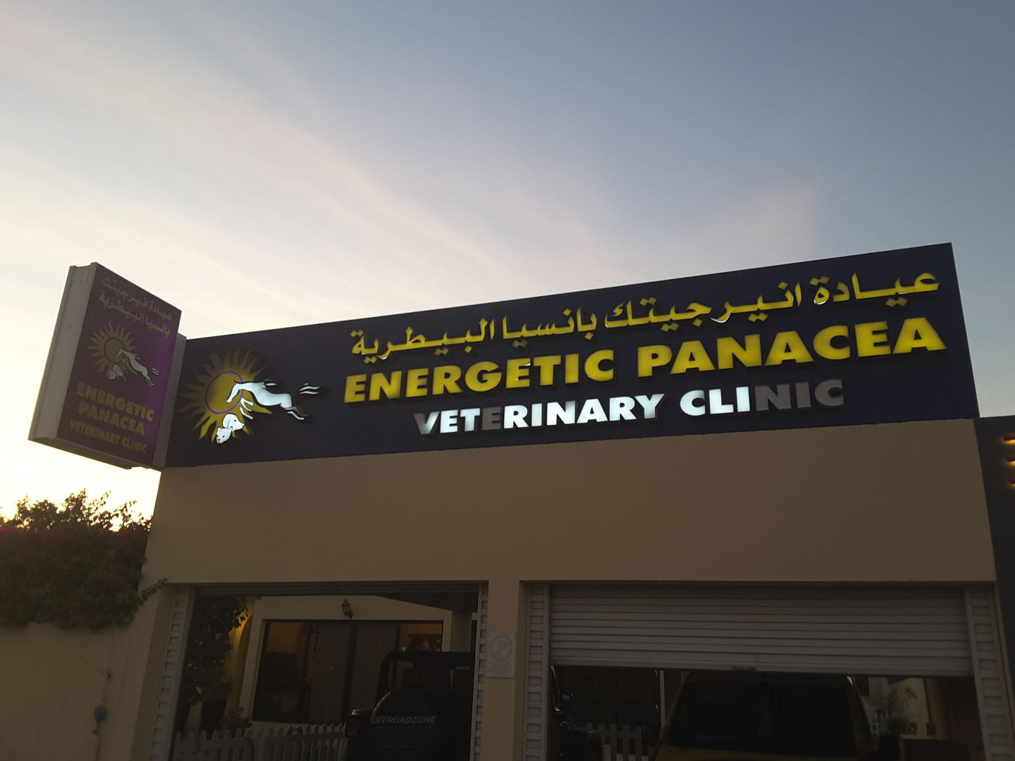 HiDubai-business-energetic-panacea-veterinary-clinic-animals-pets-plants-pet-clinics-vets-jumeirah-2-dubai-2