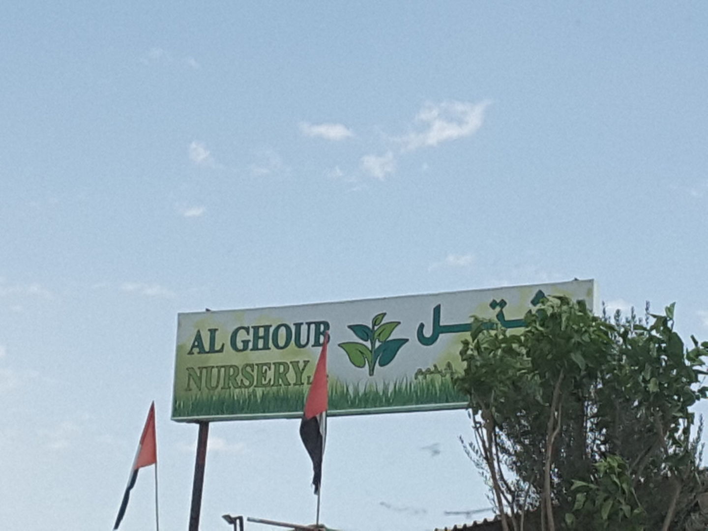 HiDubai-business-al-ghoub-nursery-b2b-services-distributors-wholesalers-warsan-3-dubai