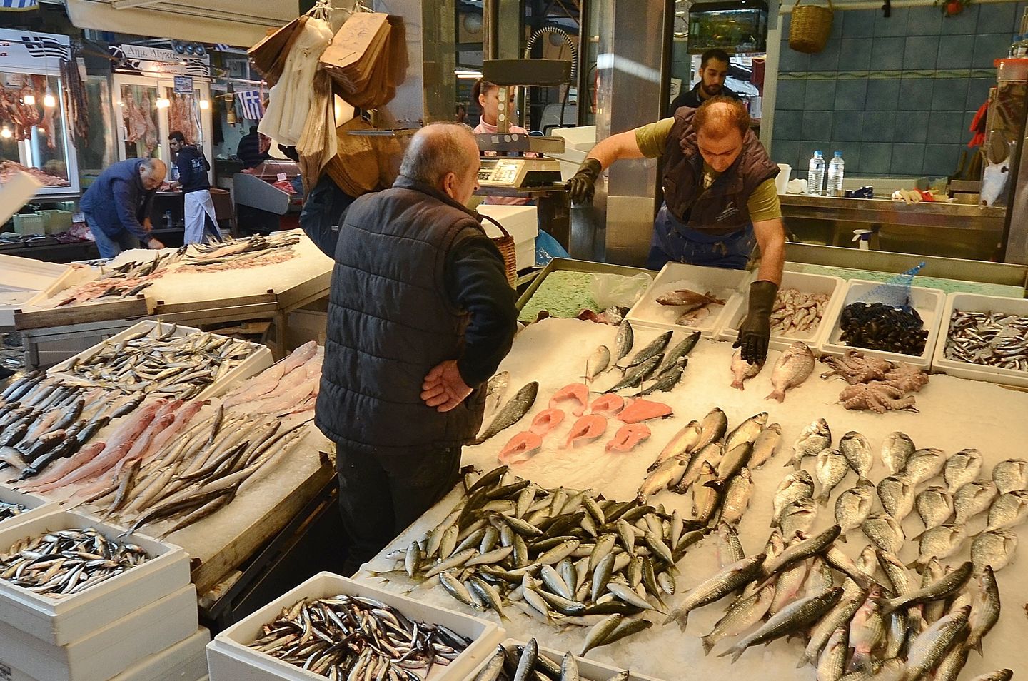 HiDubai-business-al-asayel-sea-food-b2b-services-distributors-wholesalers-al-murar-dubai-2