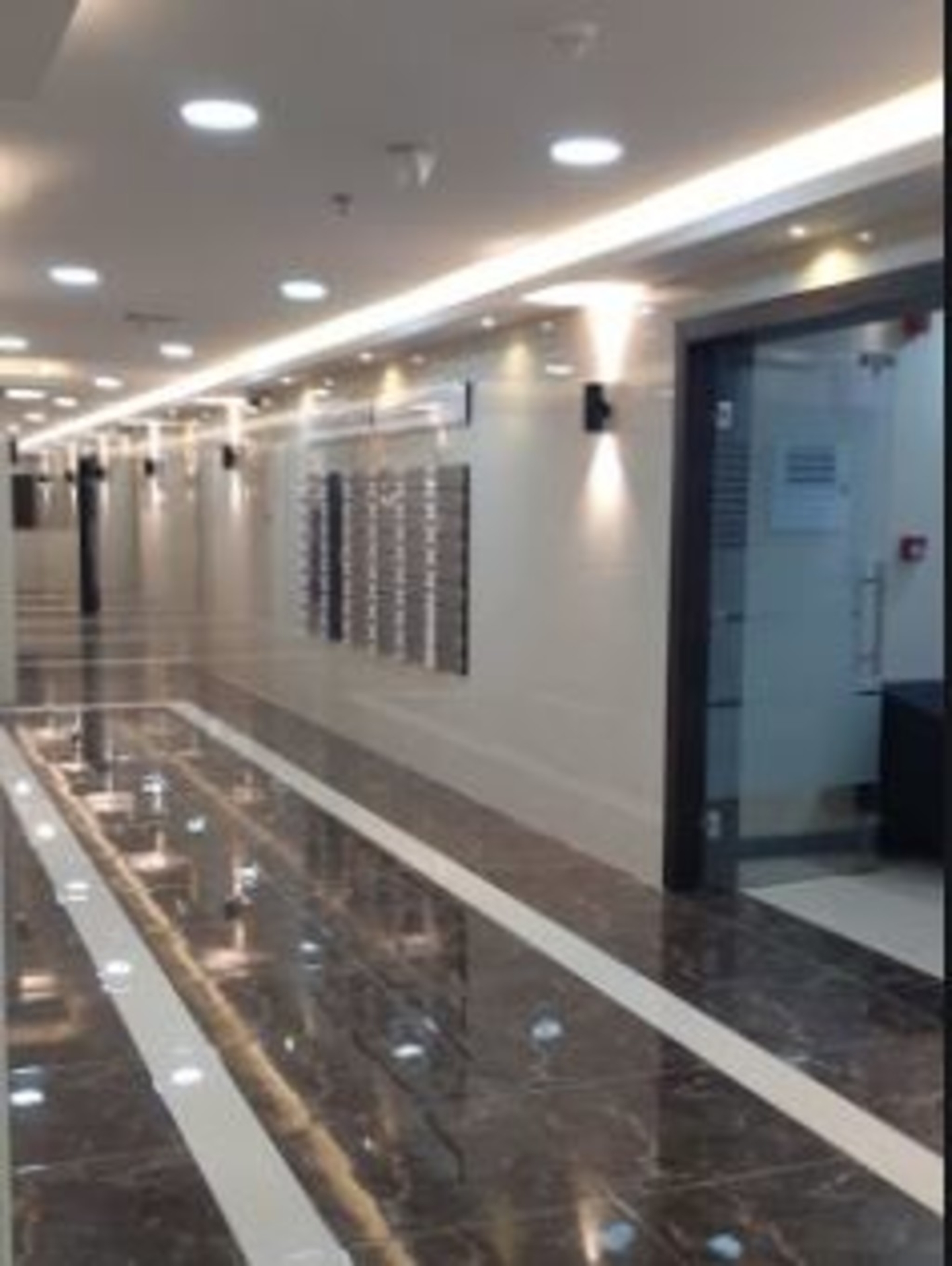 HiDubai-business-little-explorers-baby-care-requisites-trading-b2b-services-distributors-wholesalers-mankhool-dubai