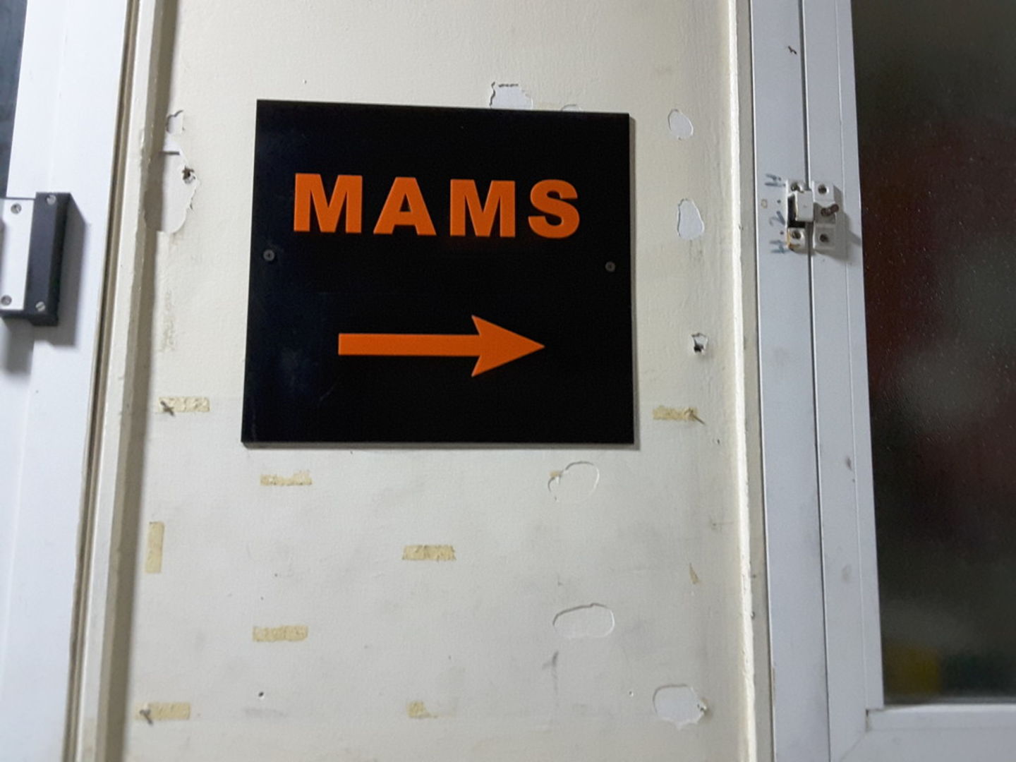 HiDubai-business-mams-trading-b2b-services-distributors-wholesalers-corniche-deira-dubai-2