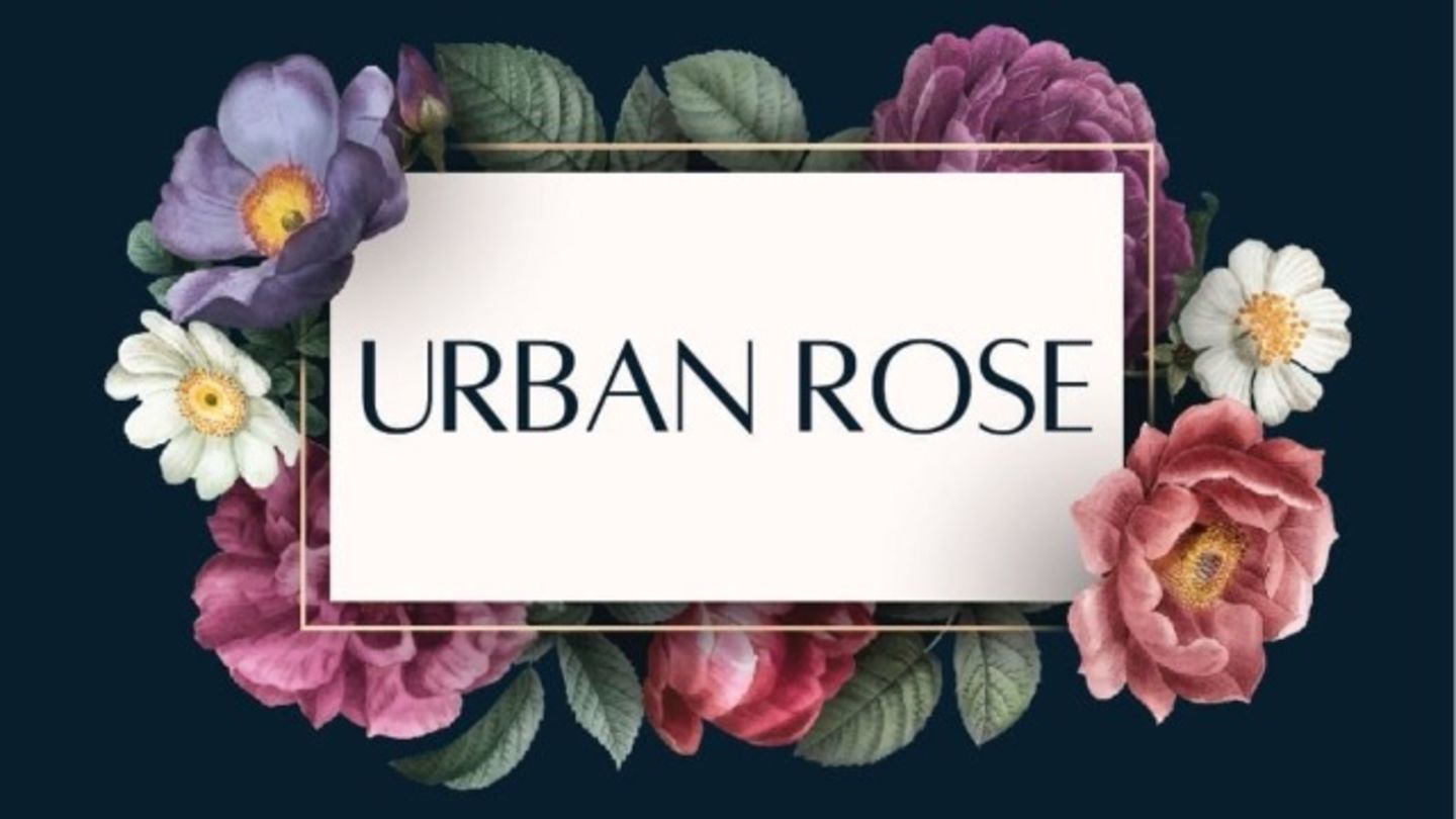 HiDubai-business-urban-rose-flowers-animals-pets-plants-plants-gardening-stores-dubai-marina-marsa-dubai-dubai