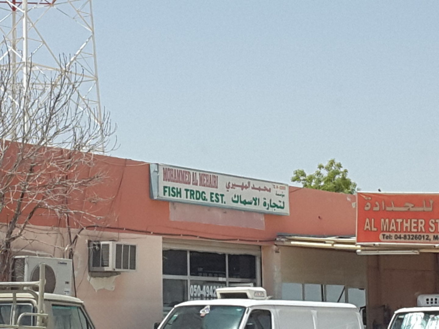 HiDubai-business-mohammed-al-mehairi-fish-trading-b2b-services-distributors-wholesalers-umm-al-momeneen-dubai-2