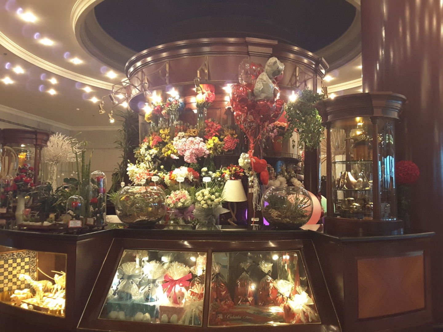 HiDubai-business-cabarles-flowers-animals-pets-plants-plants-gardening-stores-al-muraqqabat-dubai-2