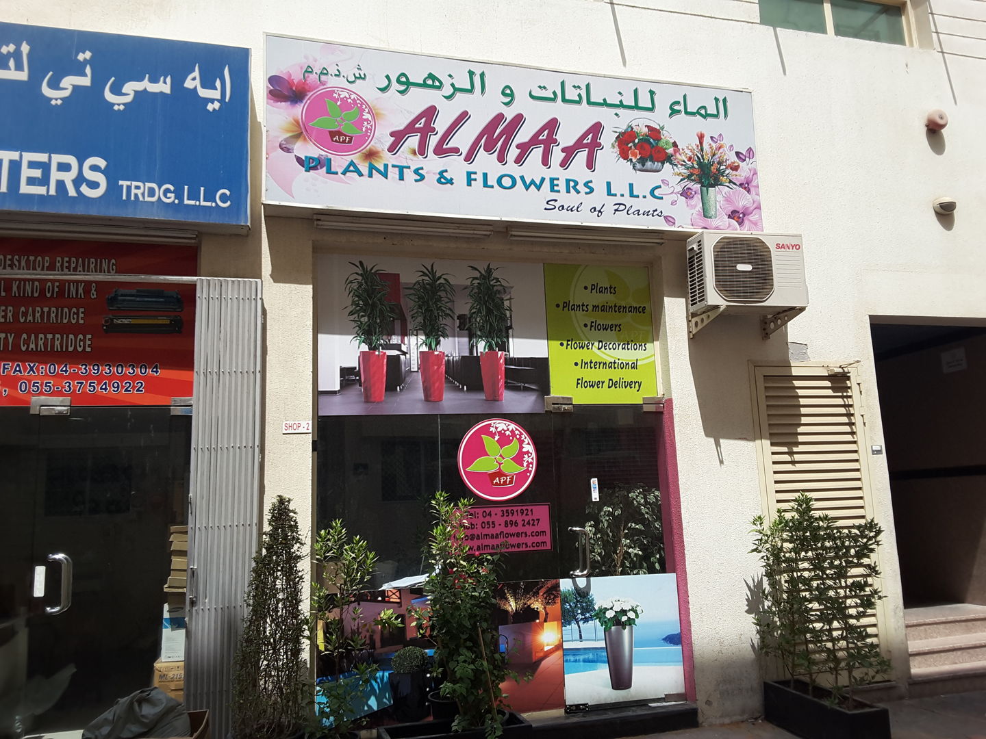 HiDubai-business-almaa-plants-and-flowers-shopping-garden-outdoor-al-fahidi-al-souq-al-kabeer-dubai-2