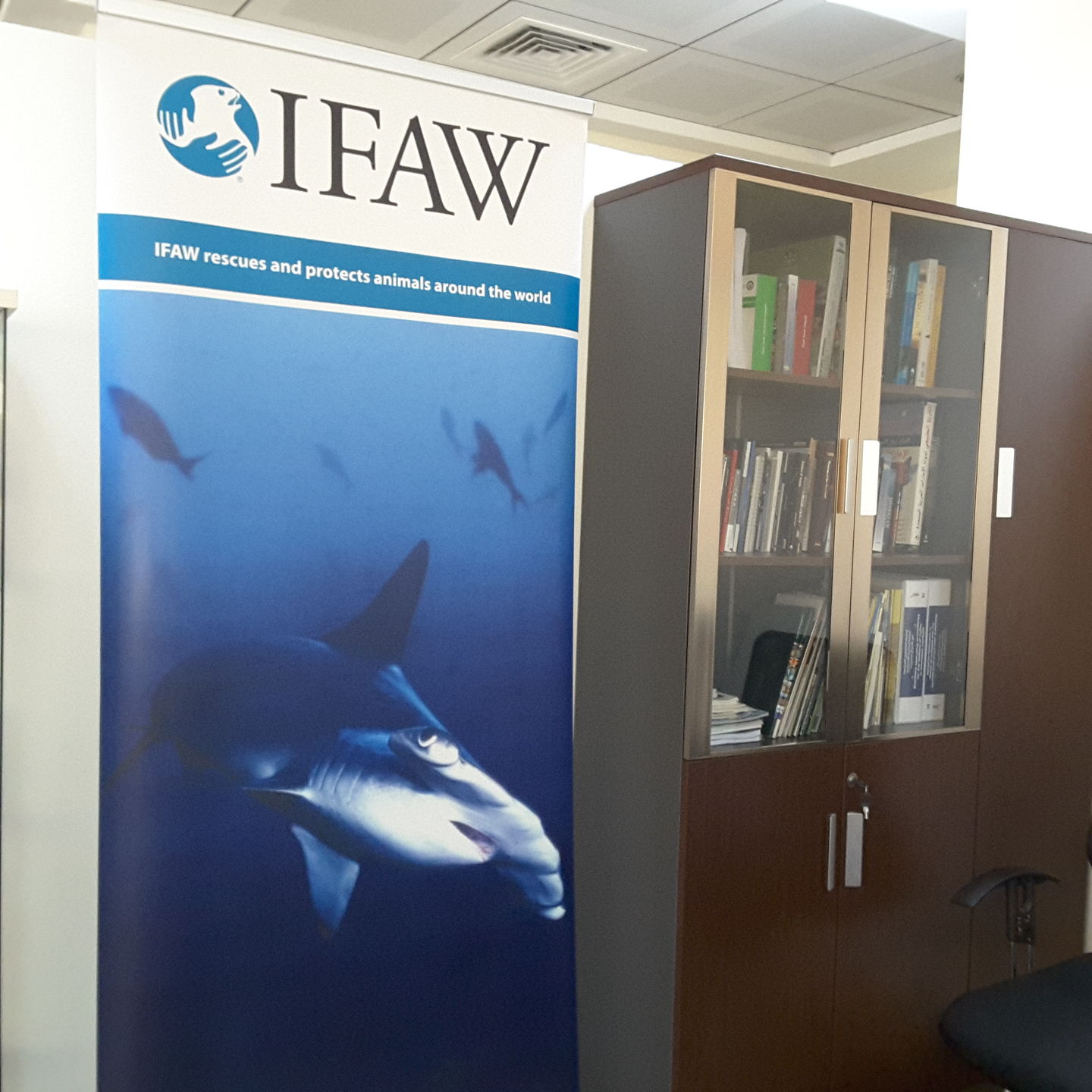 HiDubai-business-international-fund-for-animal-welfare-others-ngos-care-centres-al-mamzar-dubai-2