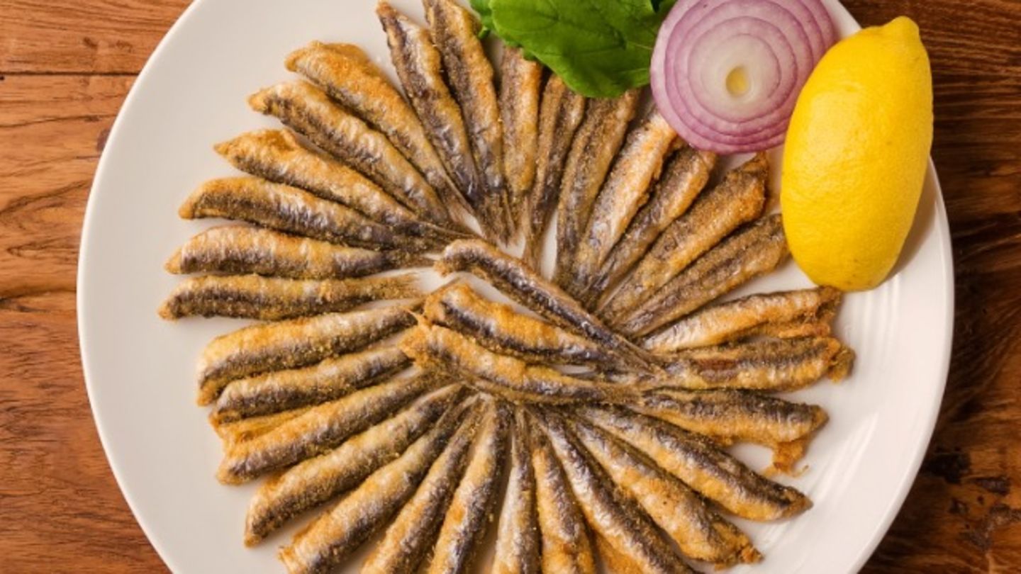 HiDubai-business-bordomavi-seafood-restaurant-food-beverage-restaurants-bars-jumeirah-1-dubai