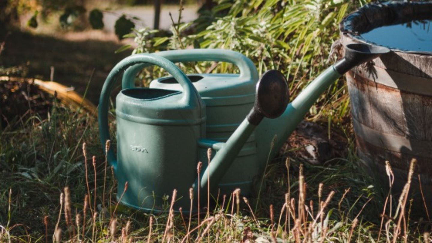 HiDubai-business-abdul-haque-magsi-landscape-gardening-home-gardening-landscaping-al-quoz-3-dubai