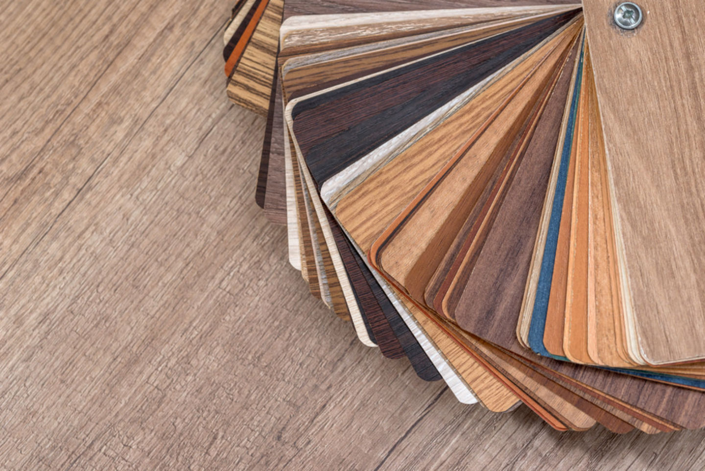 HiDubai-business-schwitzke-partner-gmbh-home-interior-designers-architects-al-barsha-1-dubai-2