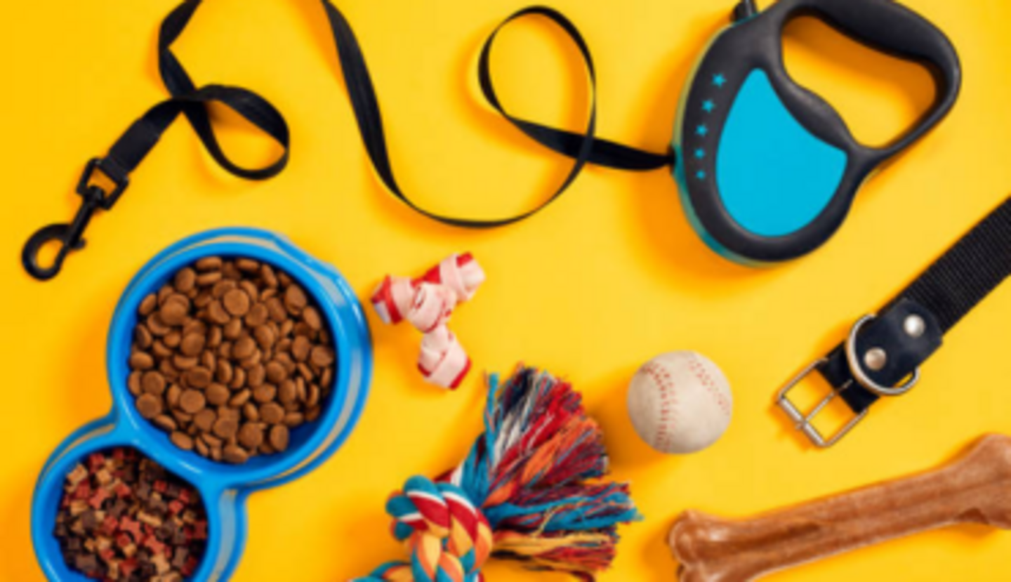 HiDubai-business-world-of-pets-animals-pets-plants-animal-shelters-adoption-centres-downtown-dubai-dubai-2