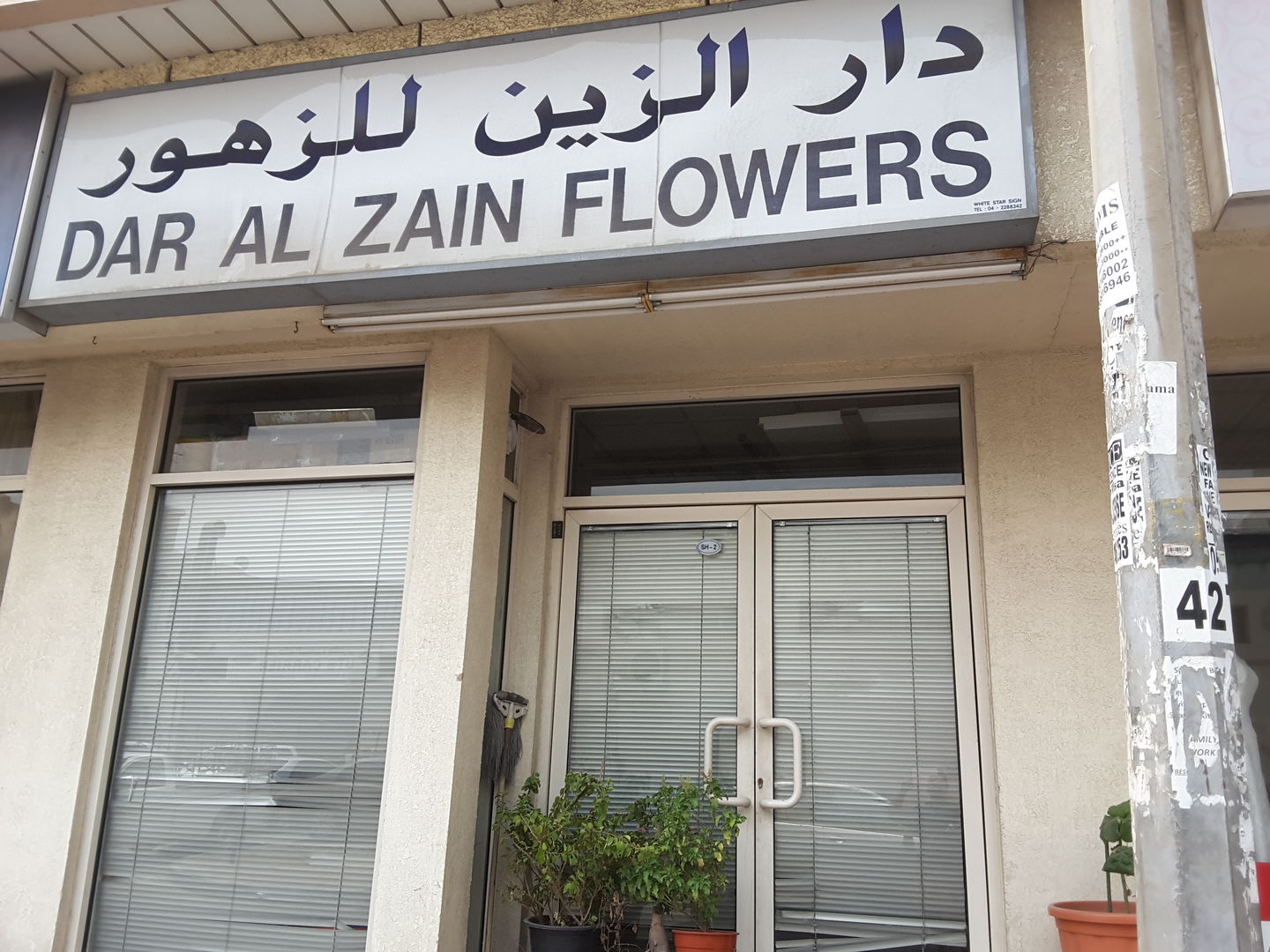 HiDubai-business-dar-al-zain-flowers-b2b-services-distributors-wholesalers-al-karama-dubai-2