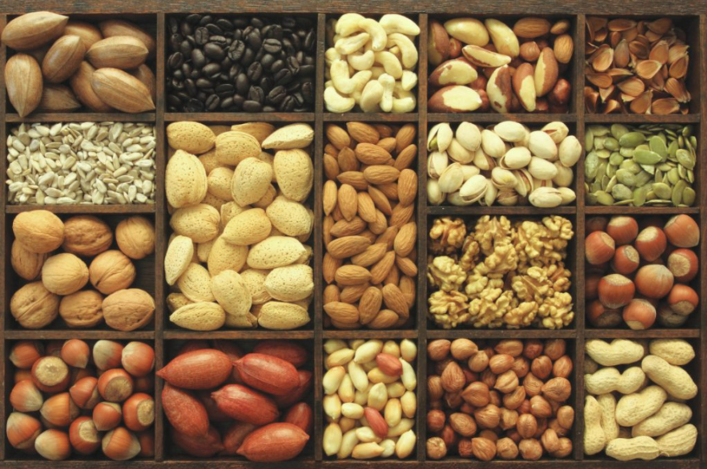 HiDubai-business-tayseer-arar-food-industry-b2b-services-food-stuff-trading-dubai-investment-park-1-dubai