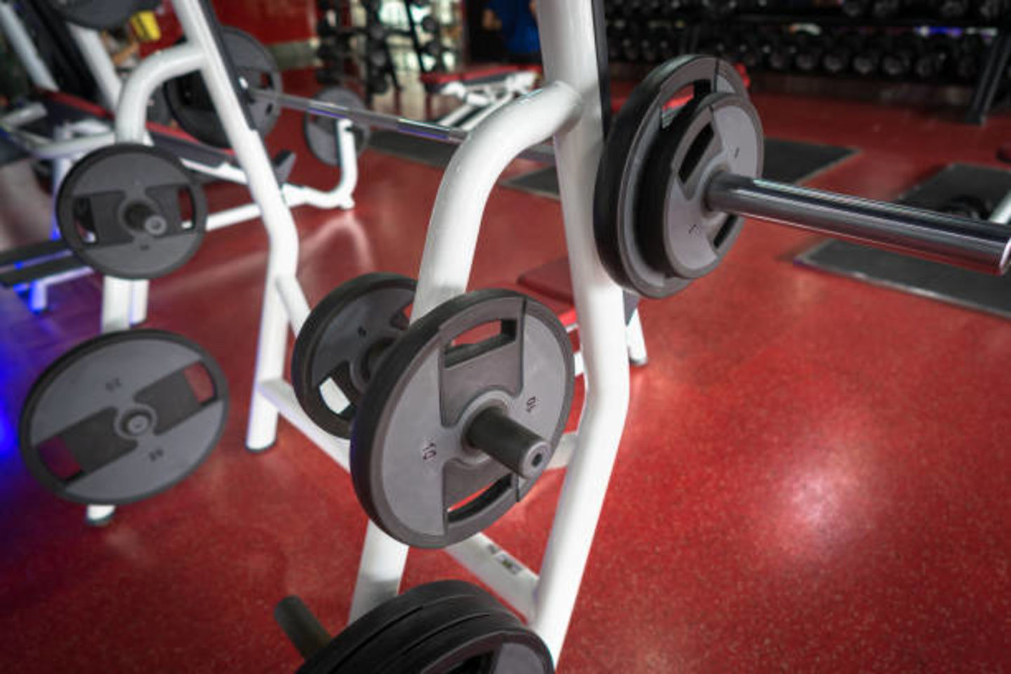 HiDubai-business-technogym-b2b-services-distributors-wholesalers-al-quoz-industrial-3-dubai