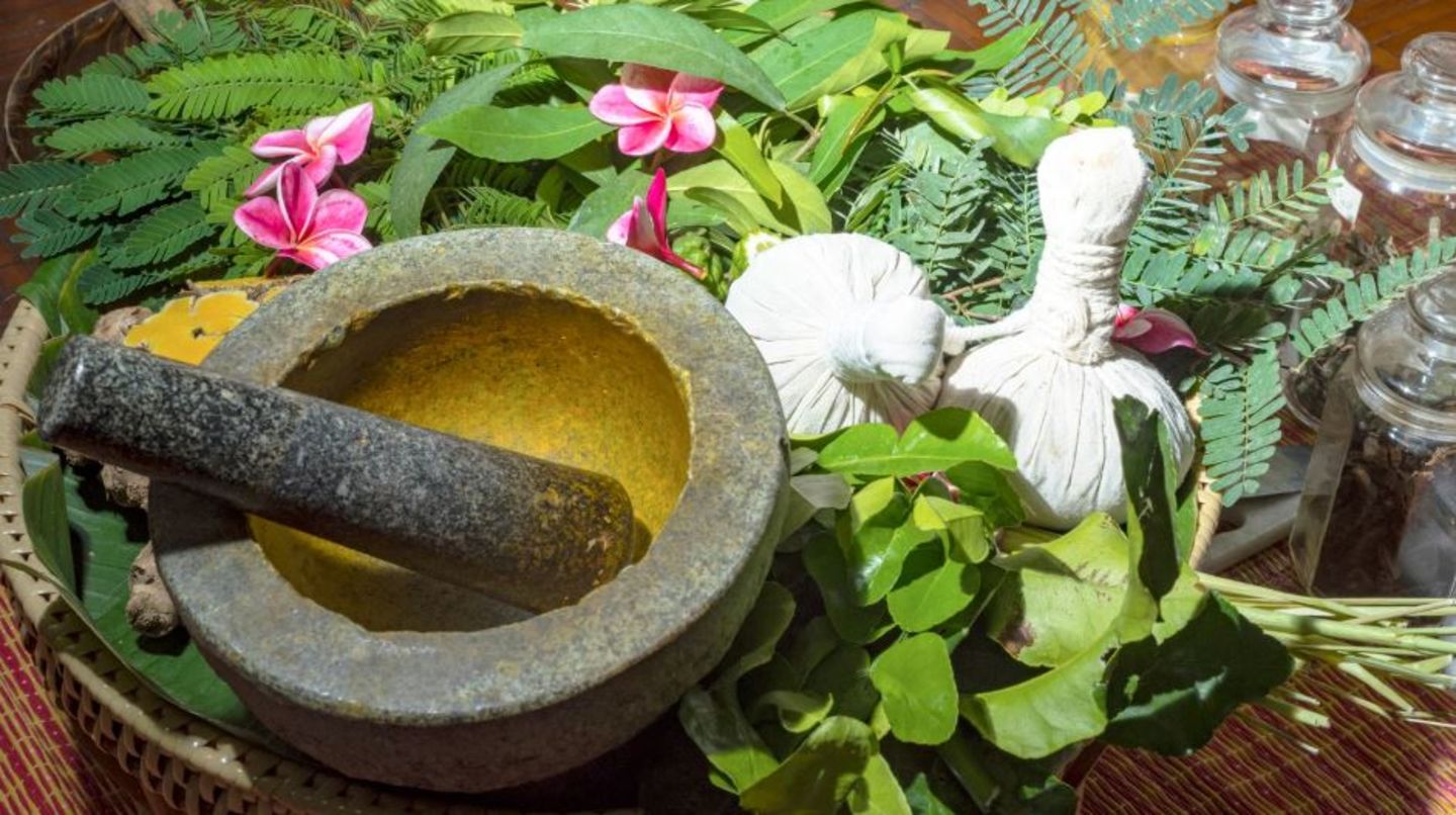 HiDubai-business-al-baraka-medicinal-herbs-b2b-services-distributors-wholesalers-al-qusais-industrial-1-dubai