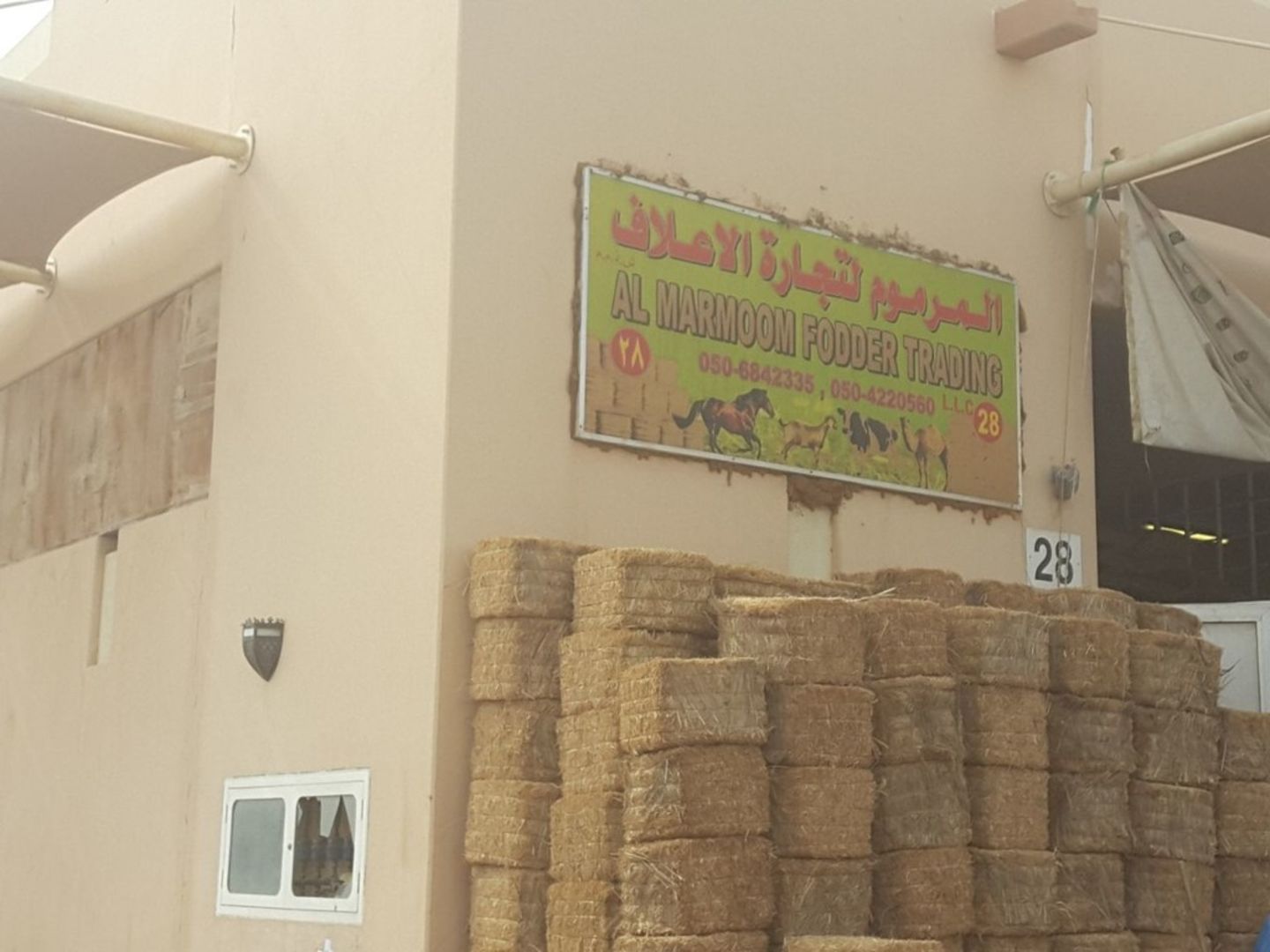 HiDubai-business-al-marmoom-fodders-trading-animals-pets-plants-pet-food-accessories-stores-margham-dubai-2