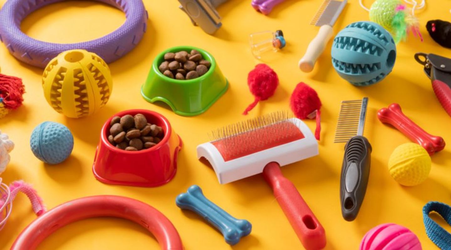 HiDubai-business-best-pets-unlimited-animals-pets-plants-pet-food-accessories-stores-the-palm-jumeirah-nakhlat-jumeirah-dubai