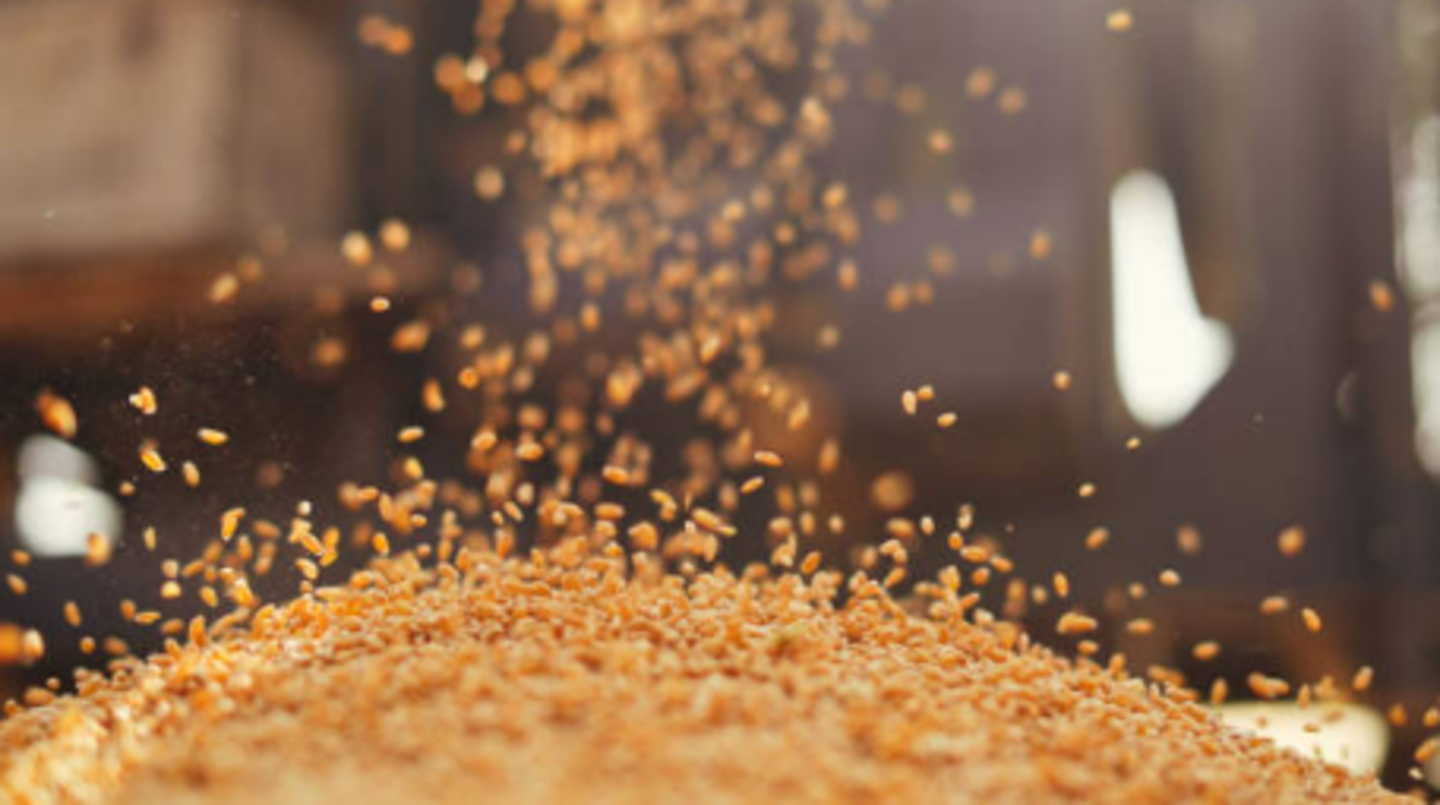 HiDubai-business-royal-grains-overseas-trading-b2b-services-food-stuff-trading-ras-al-khor-industrial-2-dubai