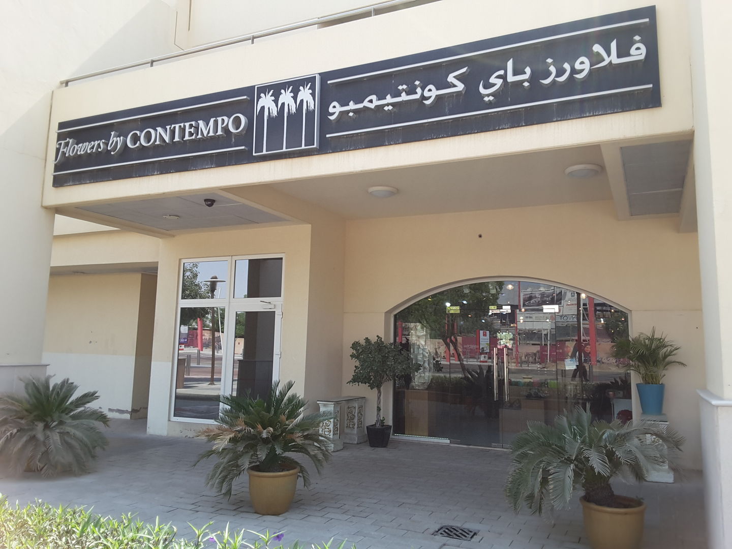 HiDubai-business-flowers-by-contempo-animals-pets-plants-plants-gardening-stores-dubai-motor-city-al-hebiah-1-dubai-2