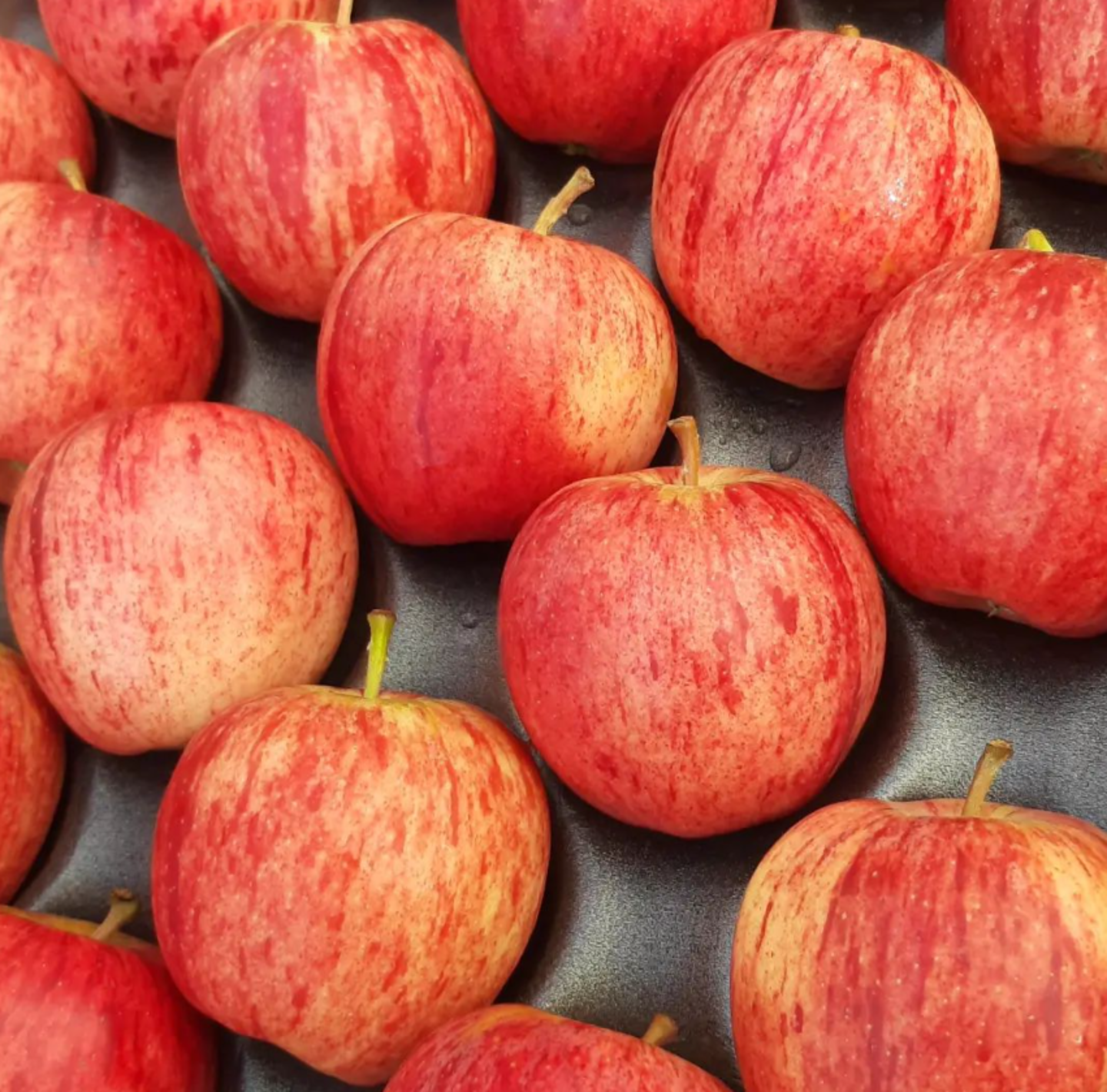 HiDubai-business-thimar-al-qarya-fruits-trading-b2b-services-food-stuff-trading-ras-al-khor-industrial-3-dubai