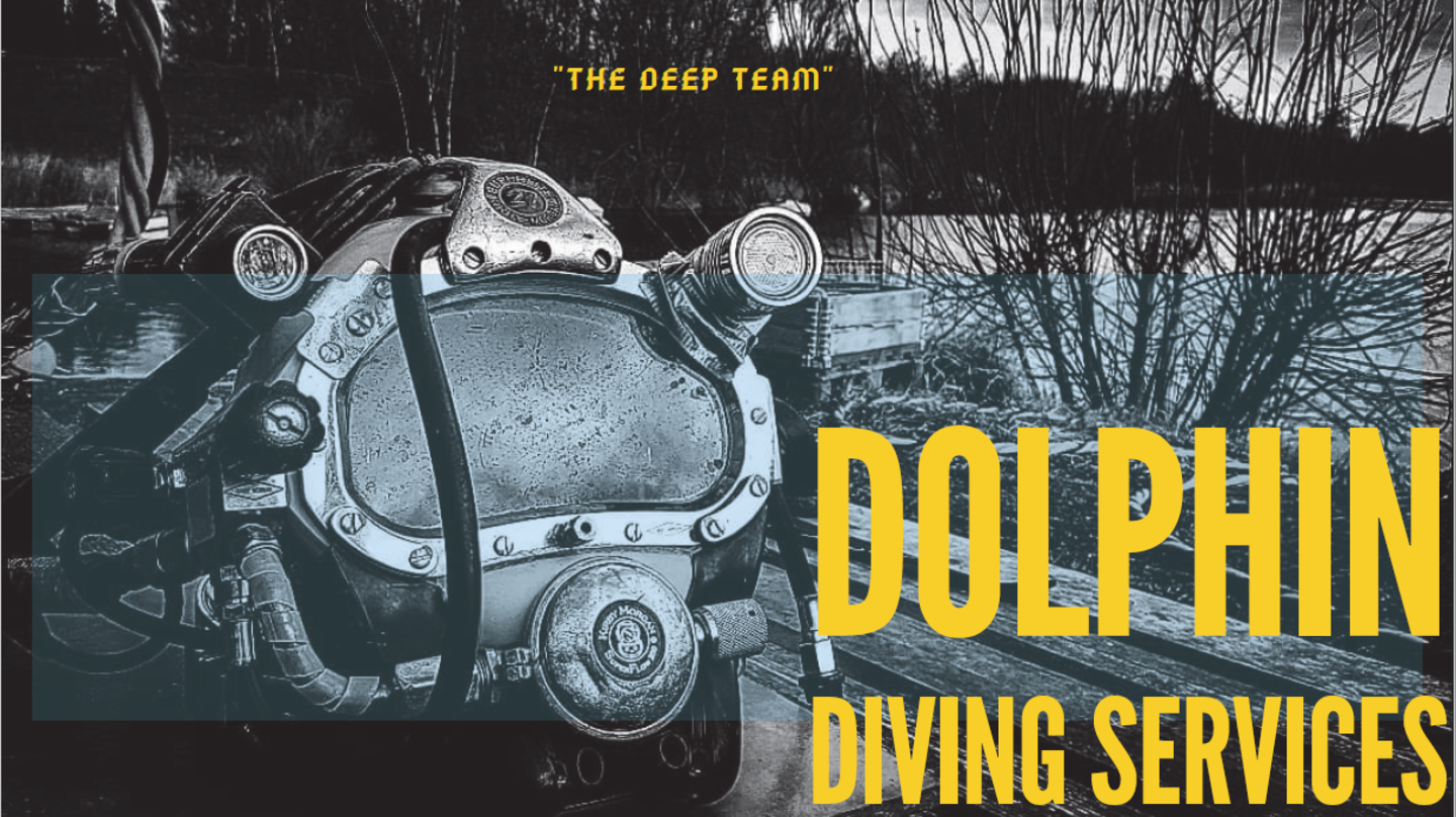 HiDubai-business-dolphin-diving-services-sports-fitness-adventure-sports-al-qusais-industrial-1-dubai-2