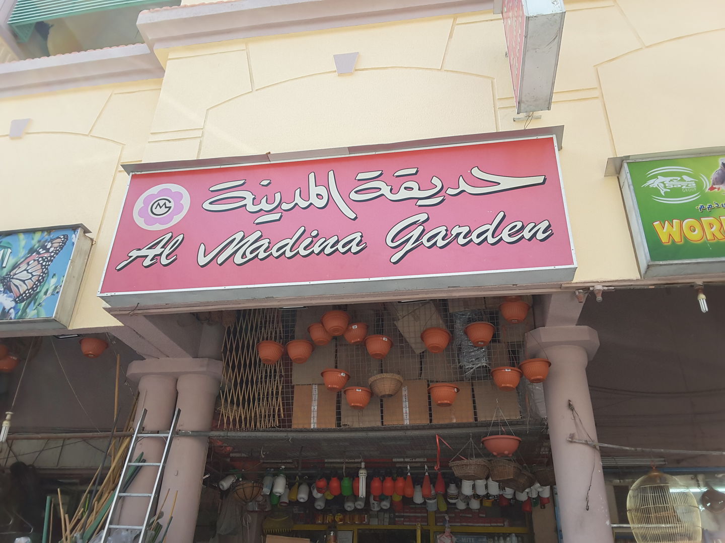 HiDubai-business-al-madina-garden-animals-pets-plants-plants-gardening-stores-al-satwa-dubai-2